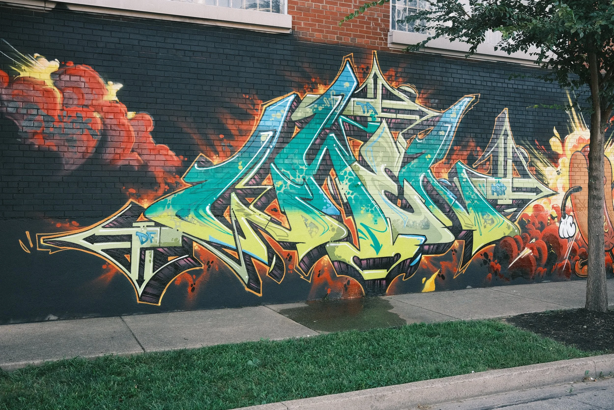 DSCF0119.JPG