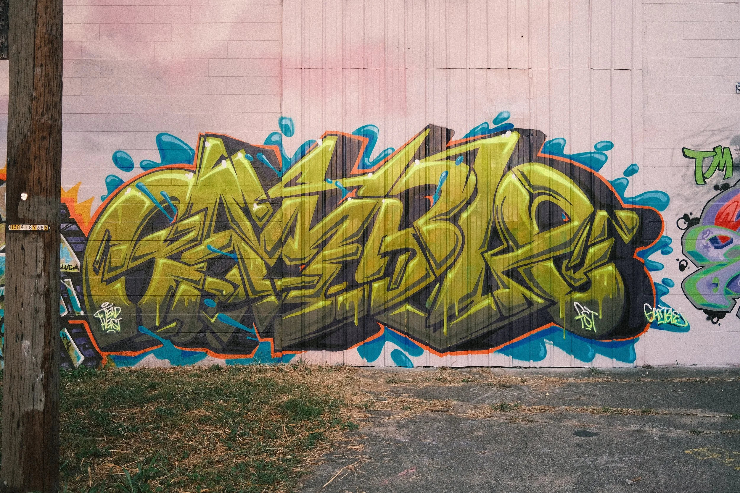 DSCF0227.JPG