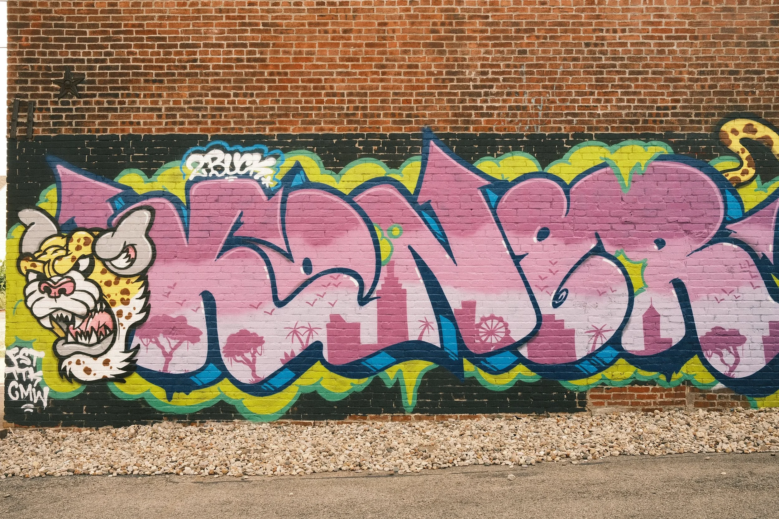 DSCF0053.JPG