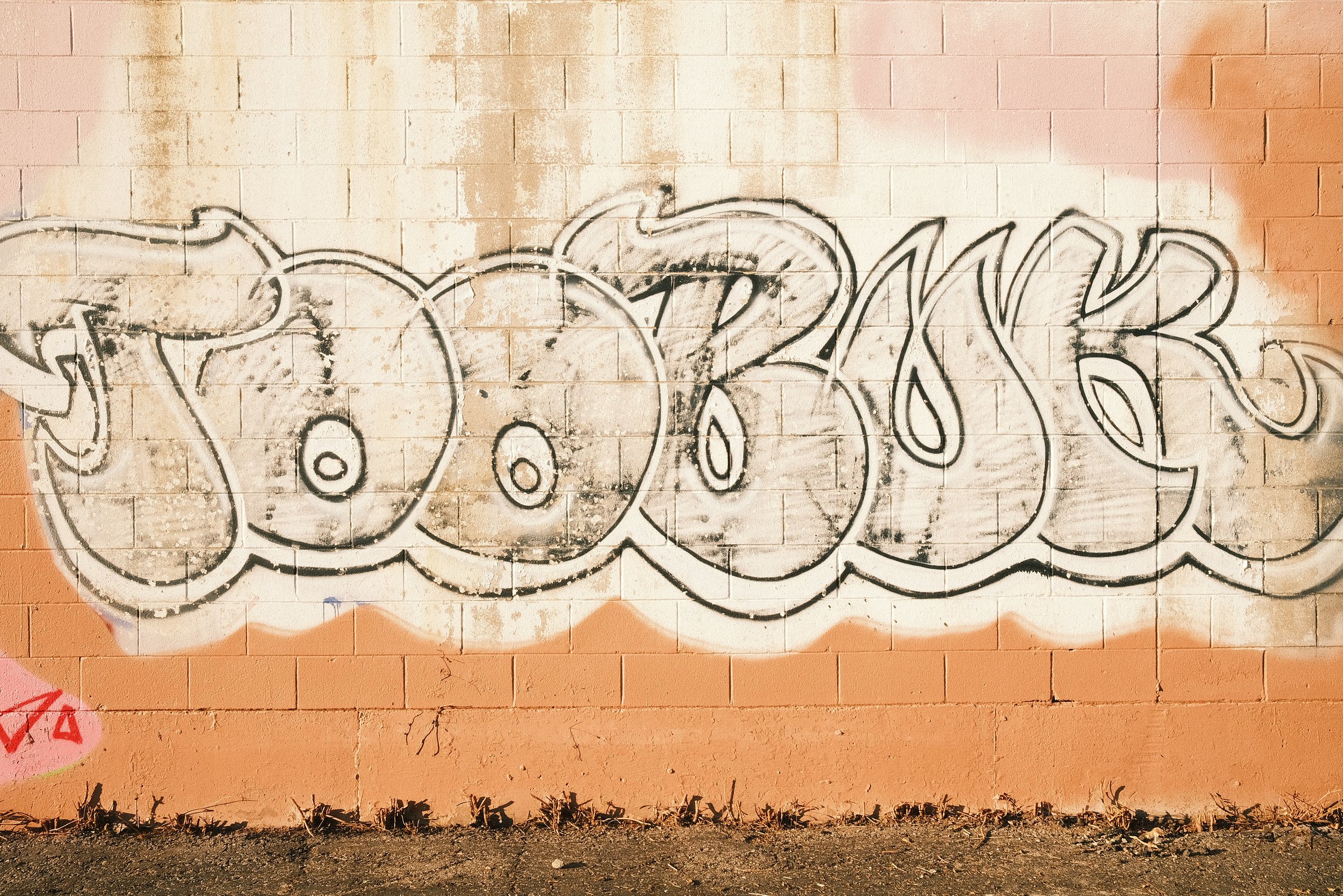 DSCF0083.JPG