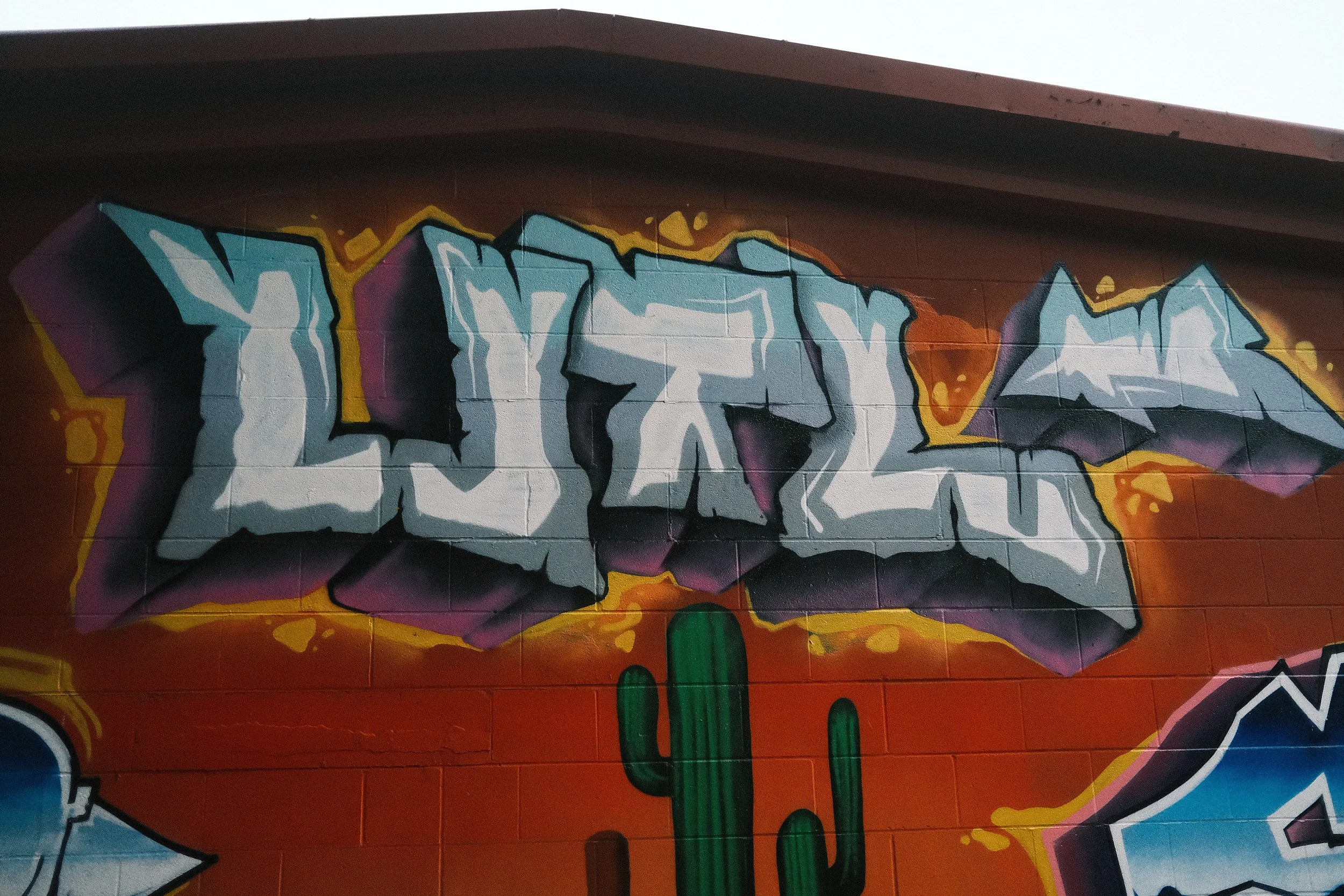 DSCF0352.JPG