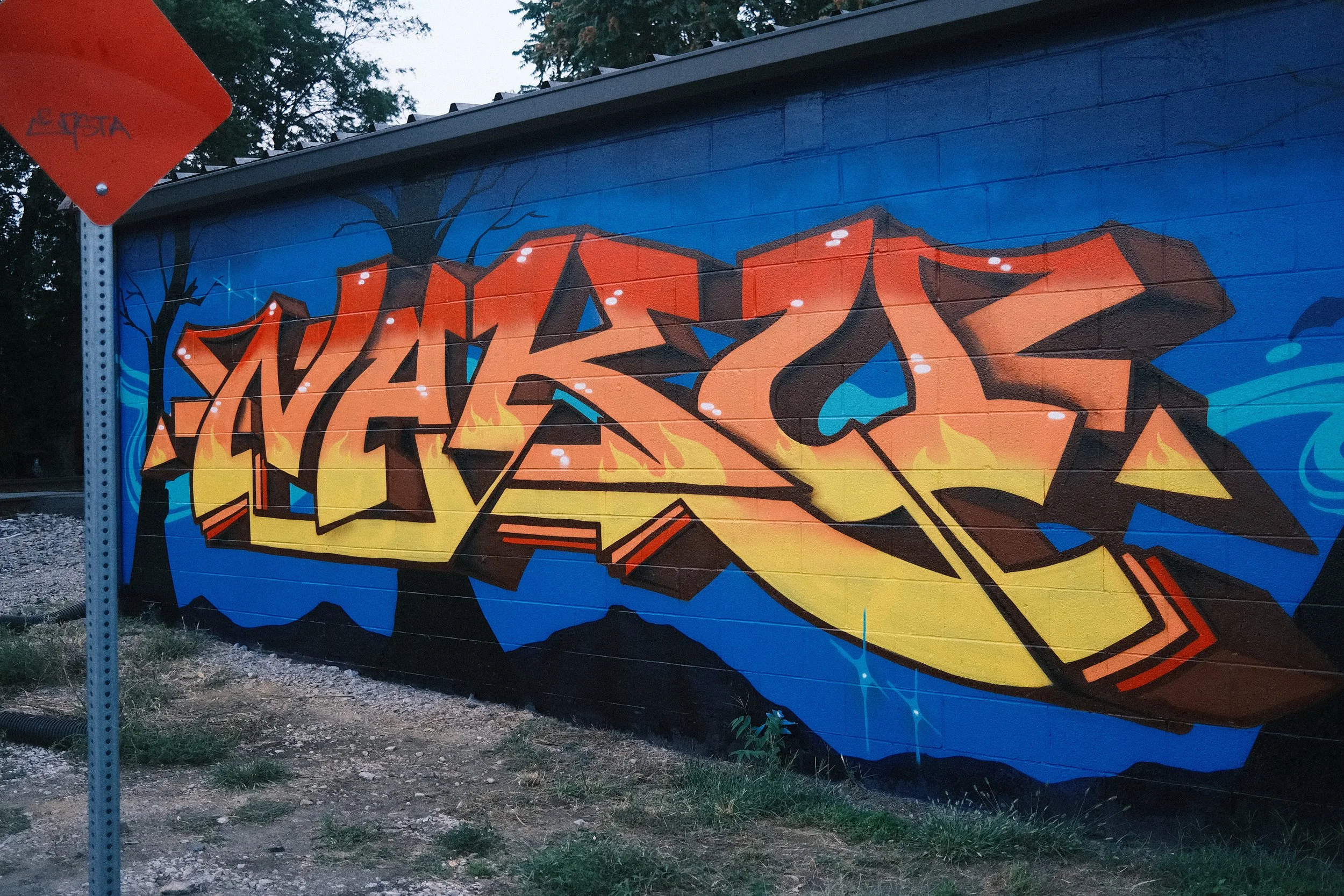 DSCF0348.JPG