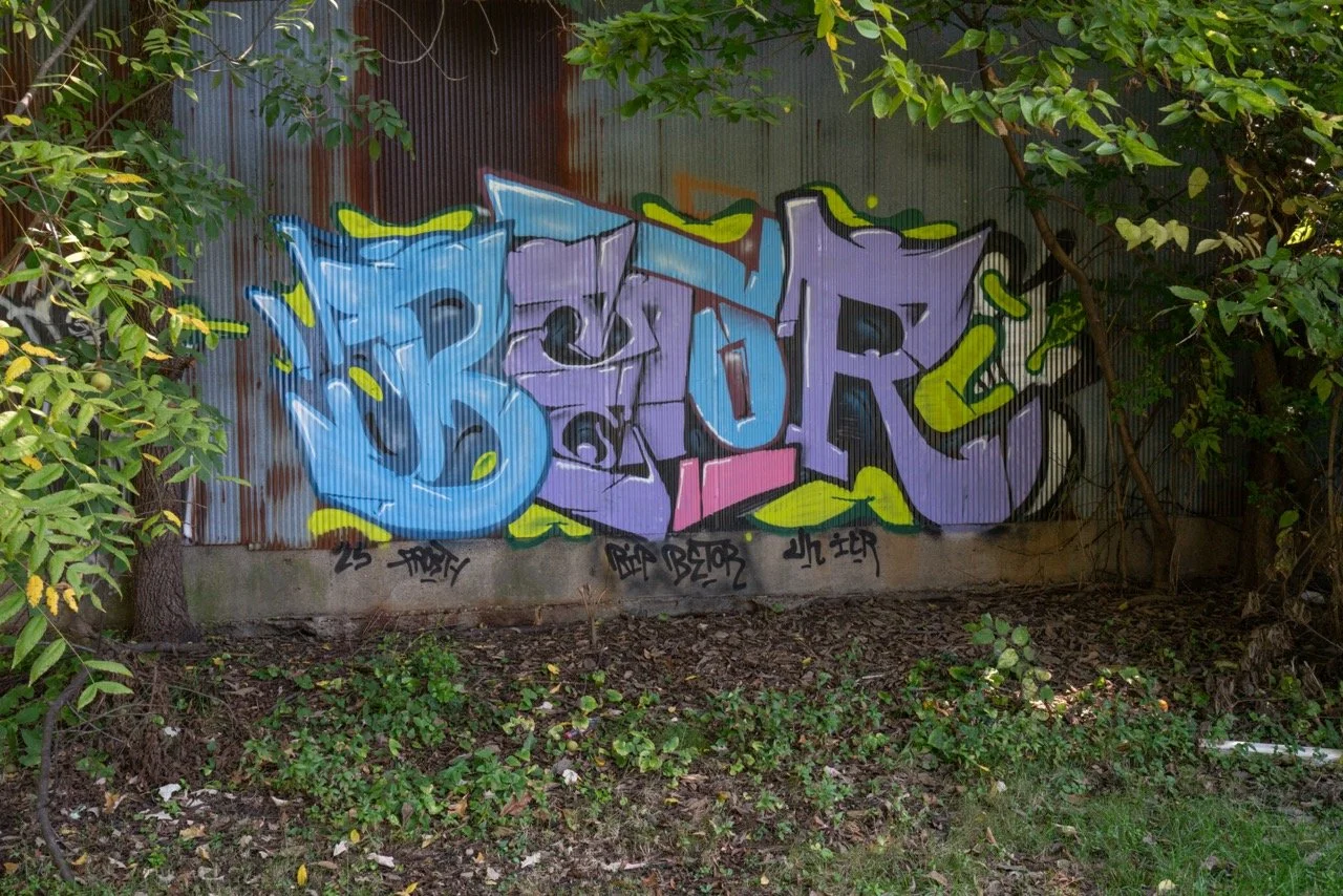 DSC07451 Large.jpeg