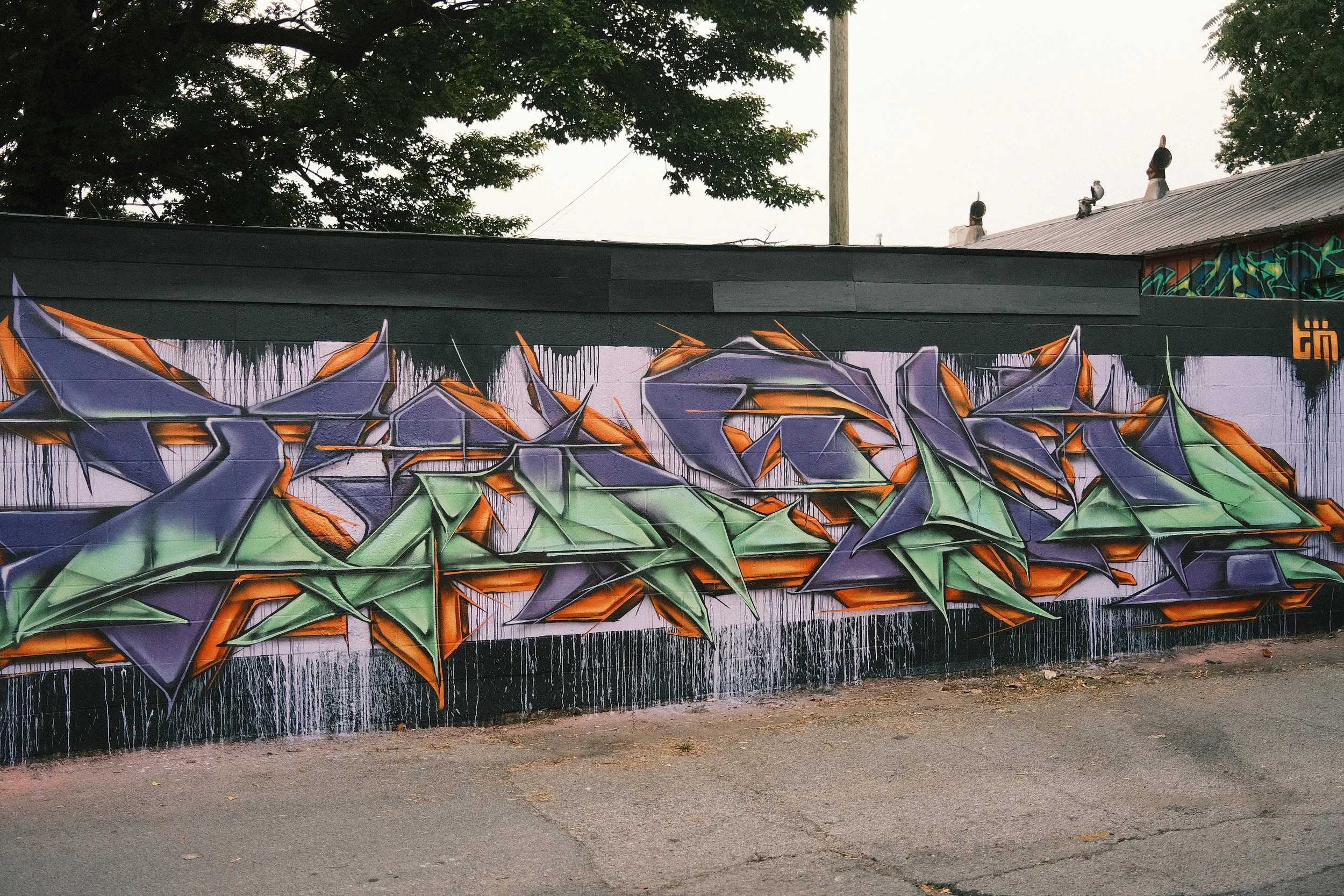 DSCF0326.JPG