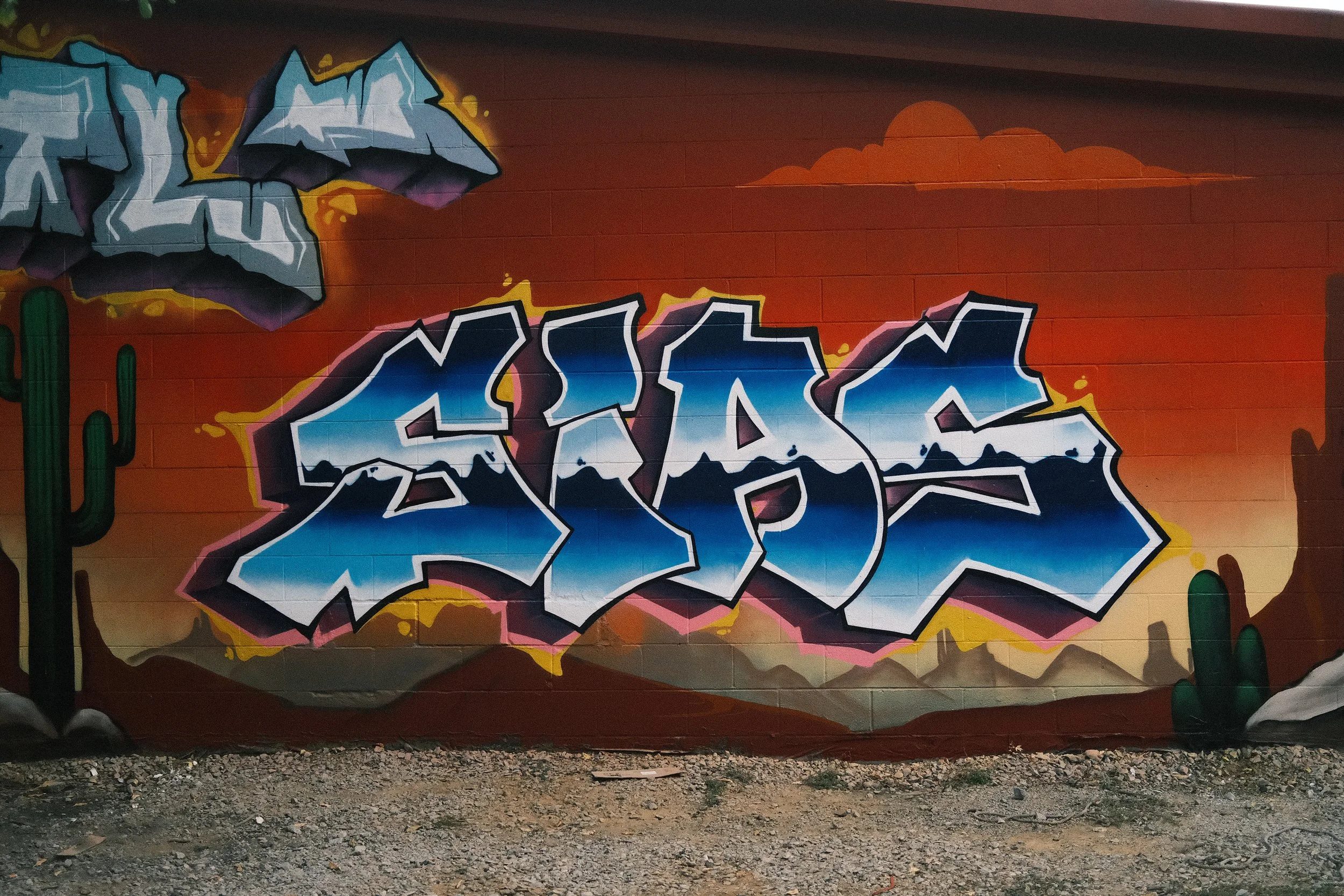 DSCF0350.JPG