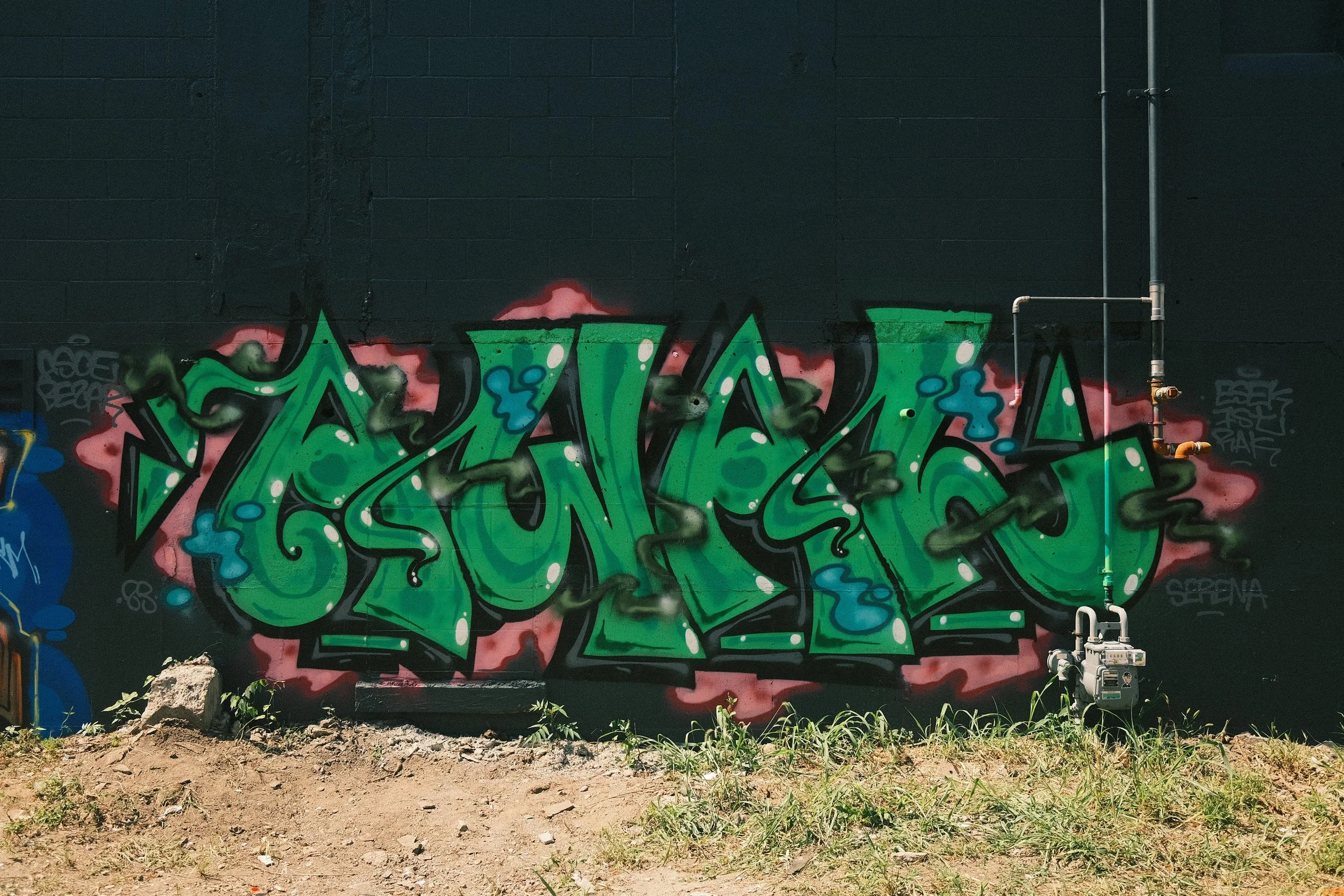 DSCF0072.JPG