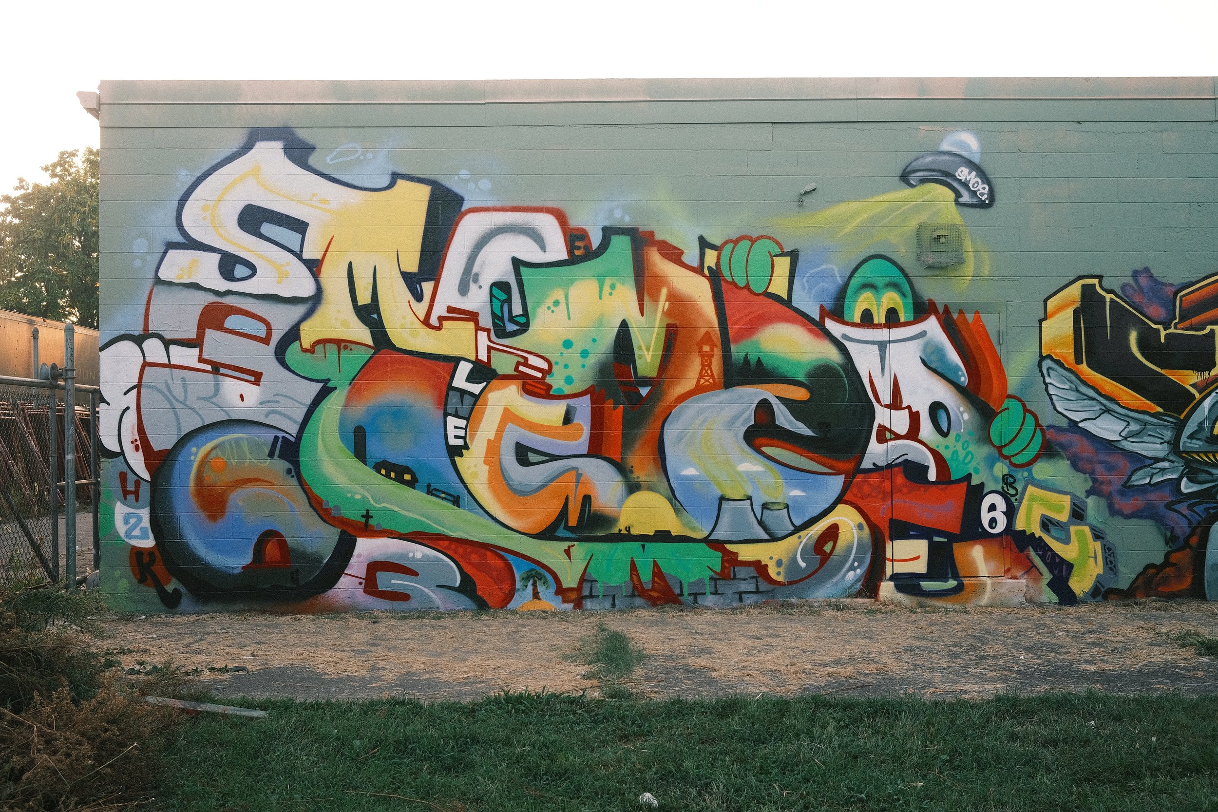 DSCF0154.JPG