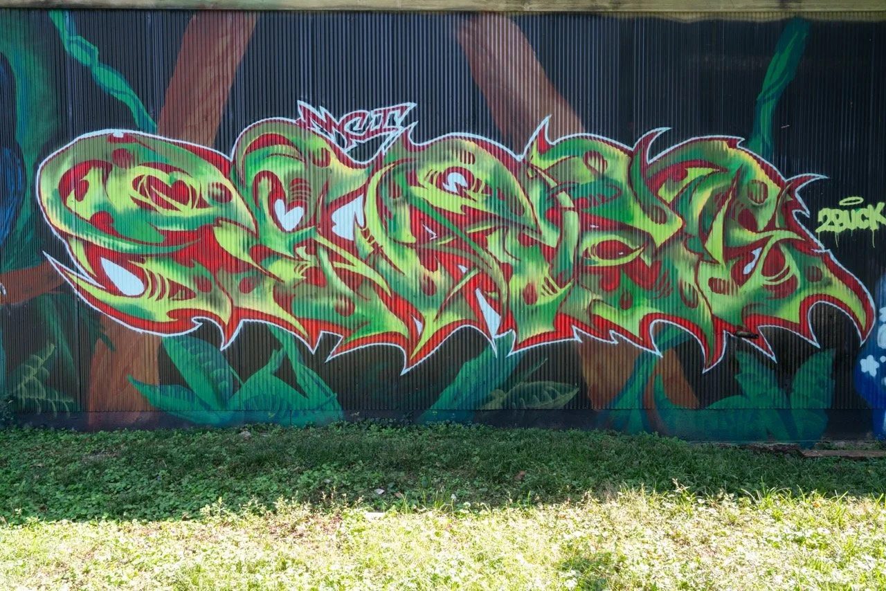 DSC07431 Large.jpeg
