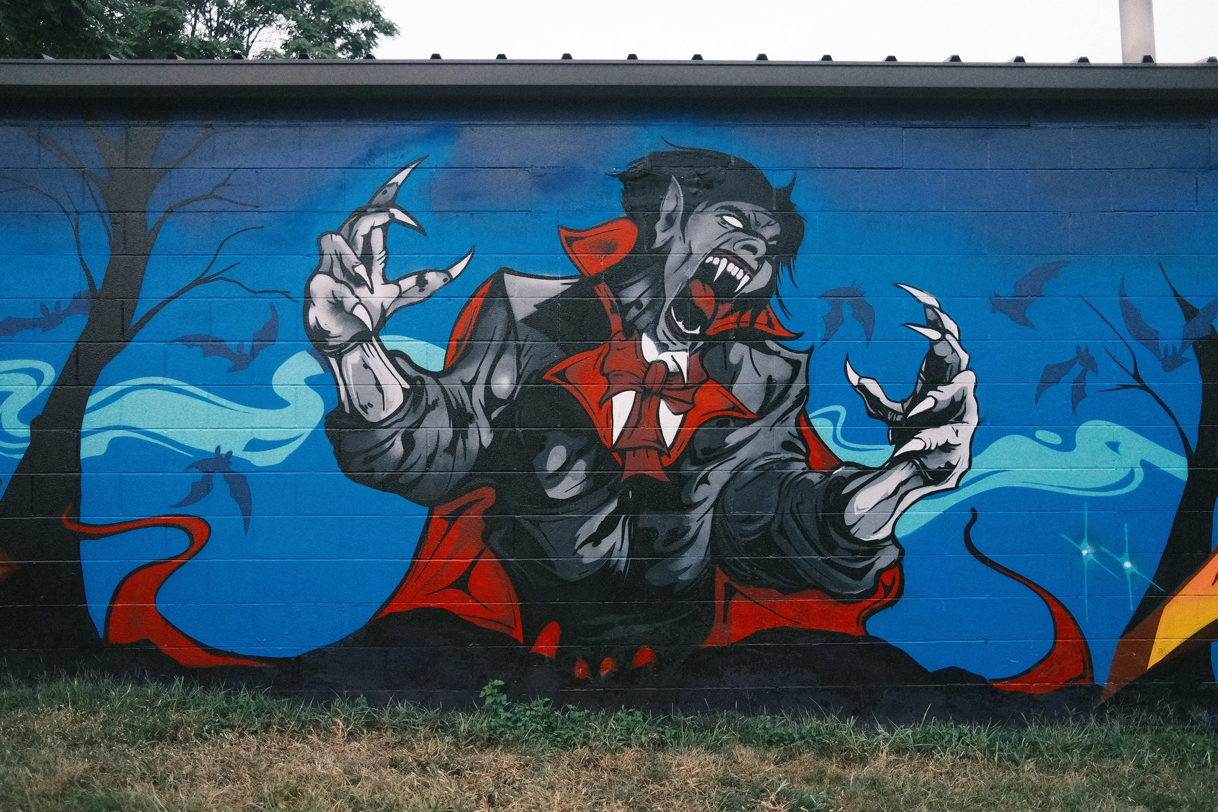 DSCF0347.JPG