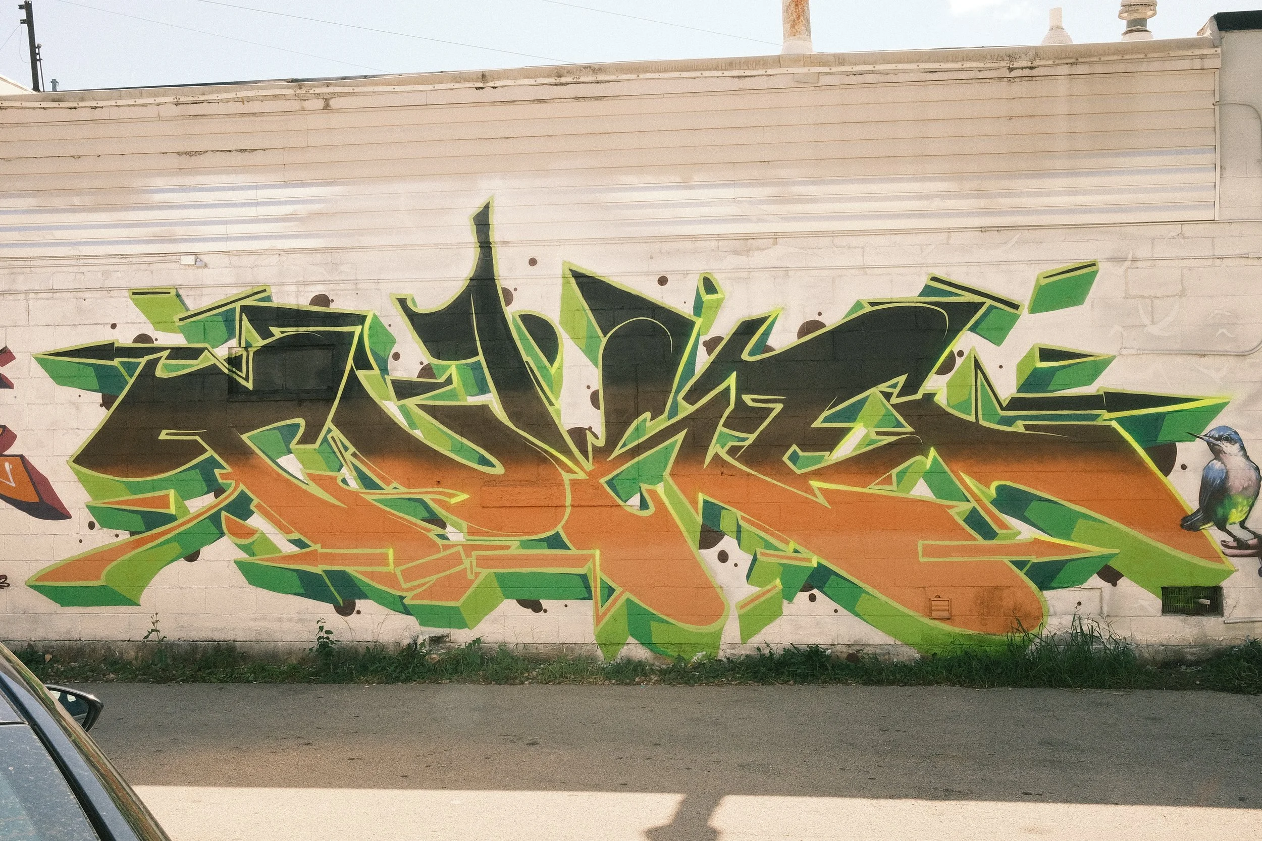 DSCF0010.JPG