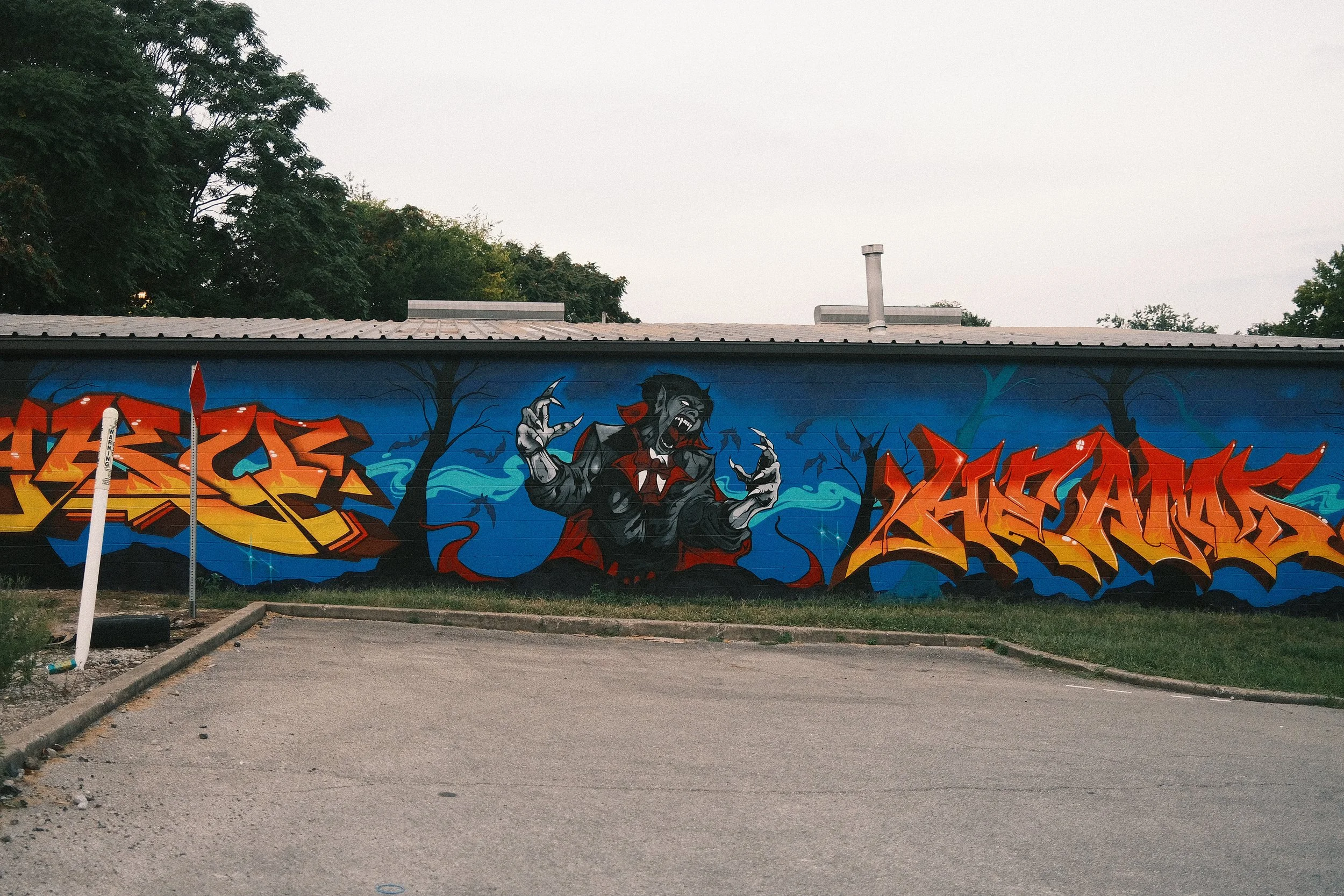DSCF0345.JPG