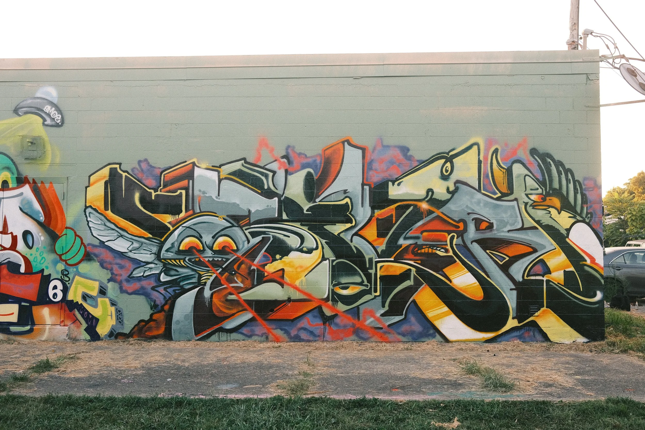 DSCF0155.JPG