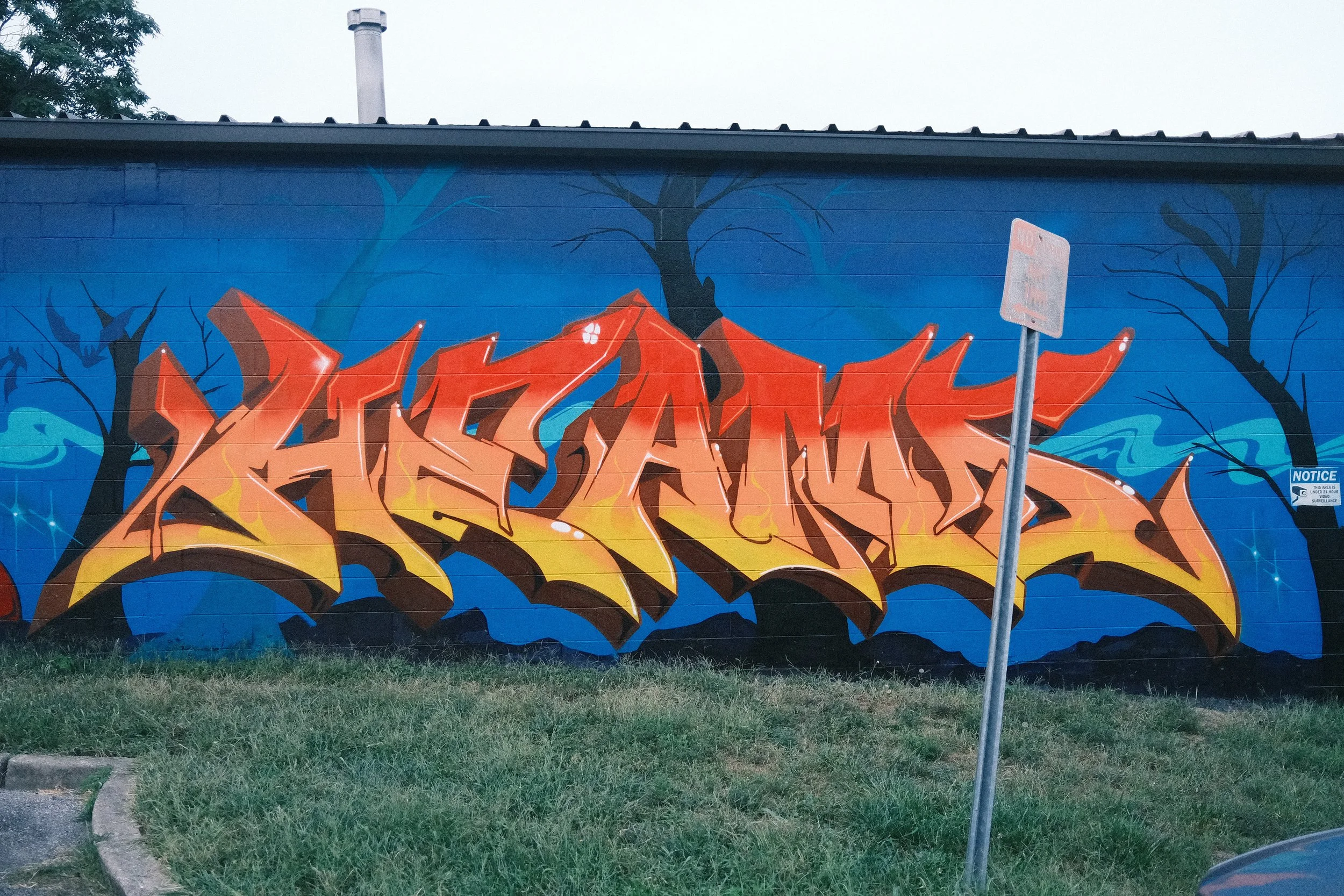 DSCF0346.JPG
