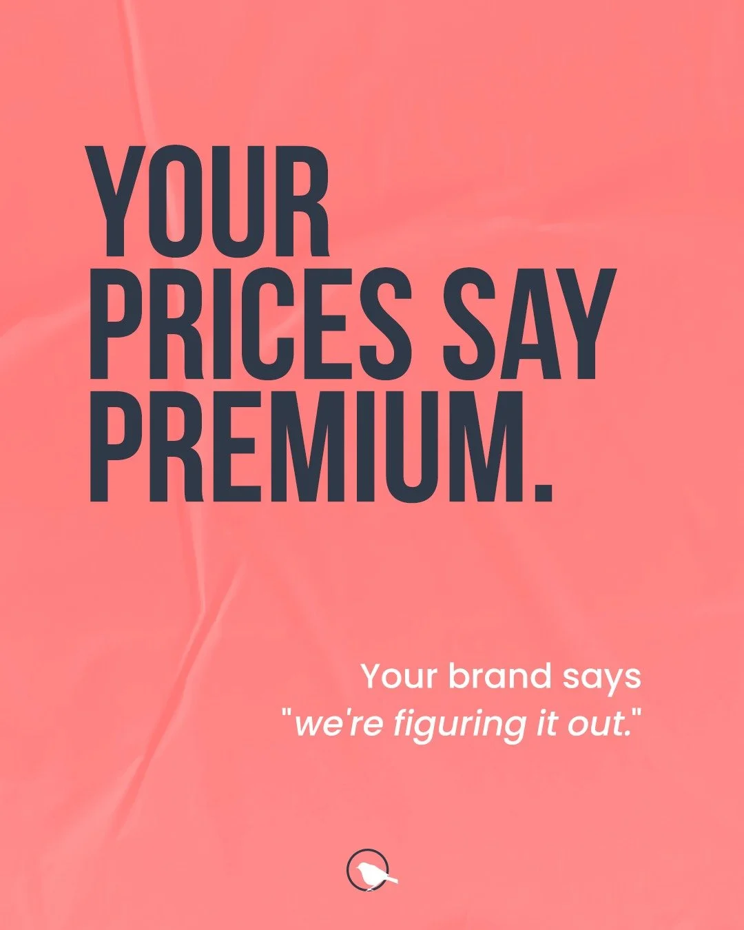 Your prices say premium. Your brand says "we're figuring it out."

If you're charging premium rates but your visual brand still looks like the early days, the Canva logo, the website you built at midnight, the Instagram that looks like a di