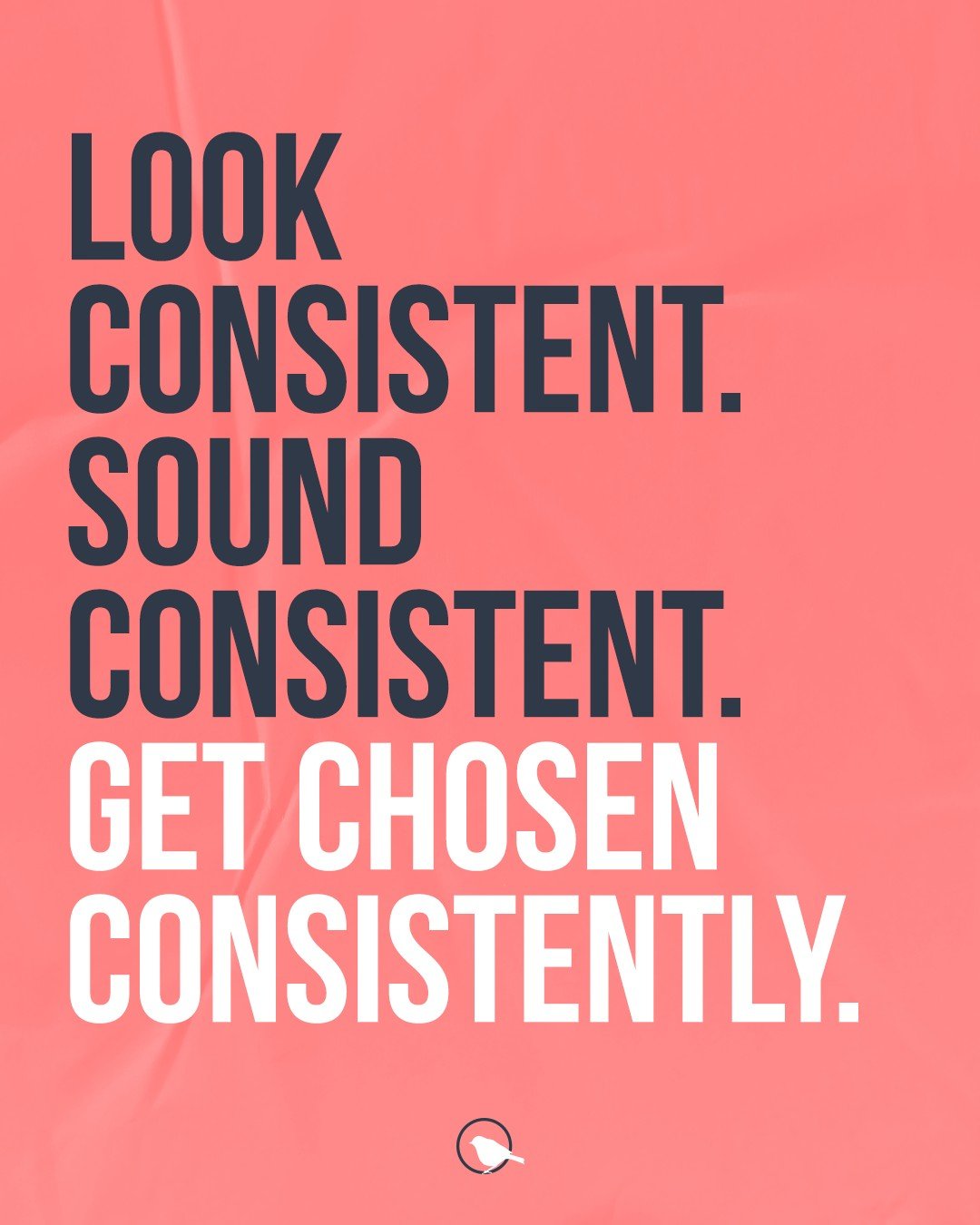 There's a specific moment that happens when a business finally gets consistent with its brand and I've watched it happen enough times now to know exactly what it looks like.

Everything starts pulling in the same direction. The website, the social co