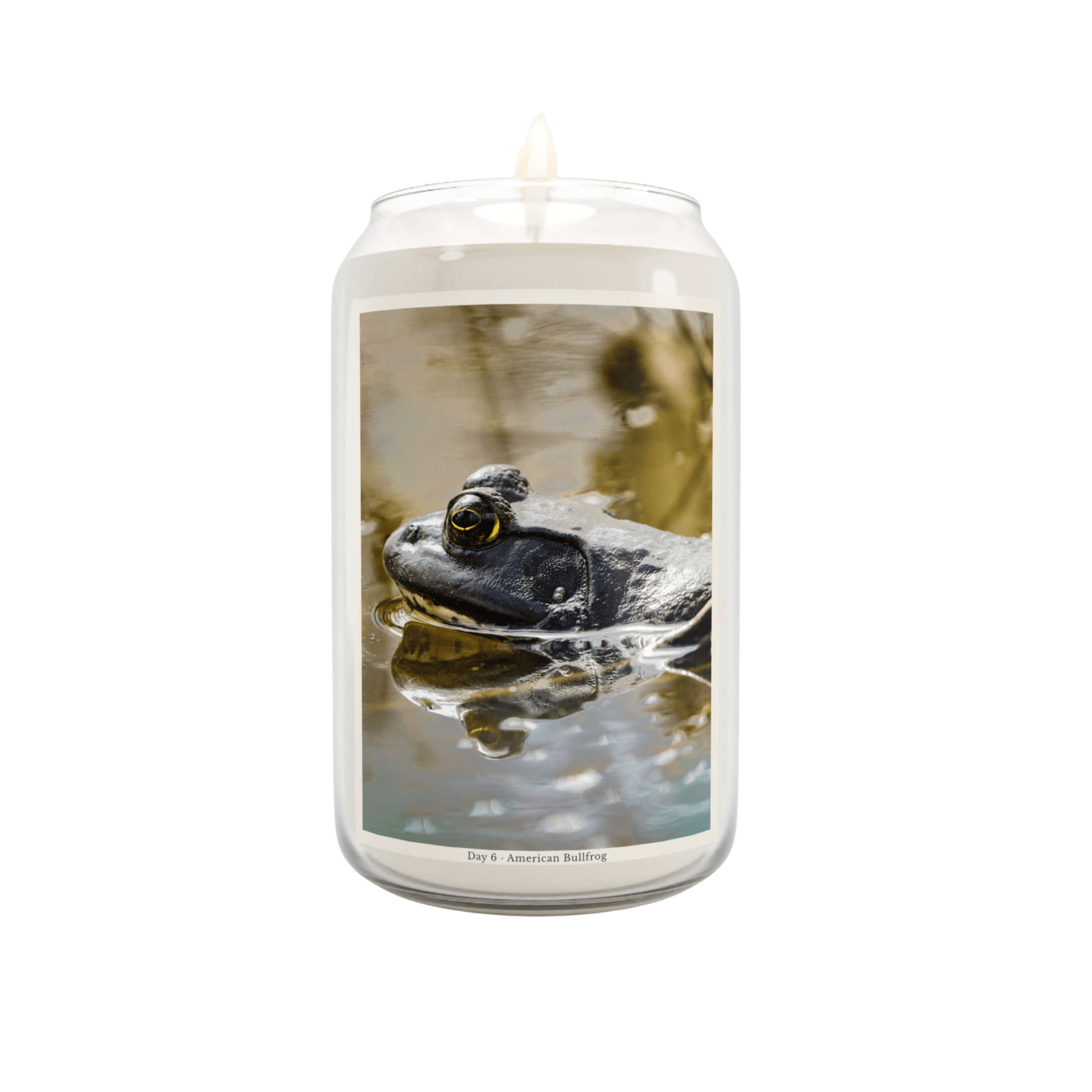 Mockup Transparent.png