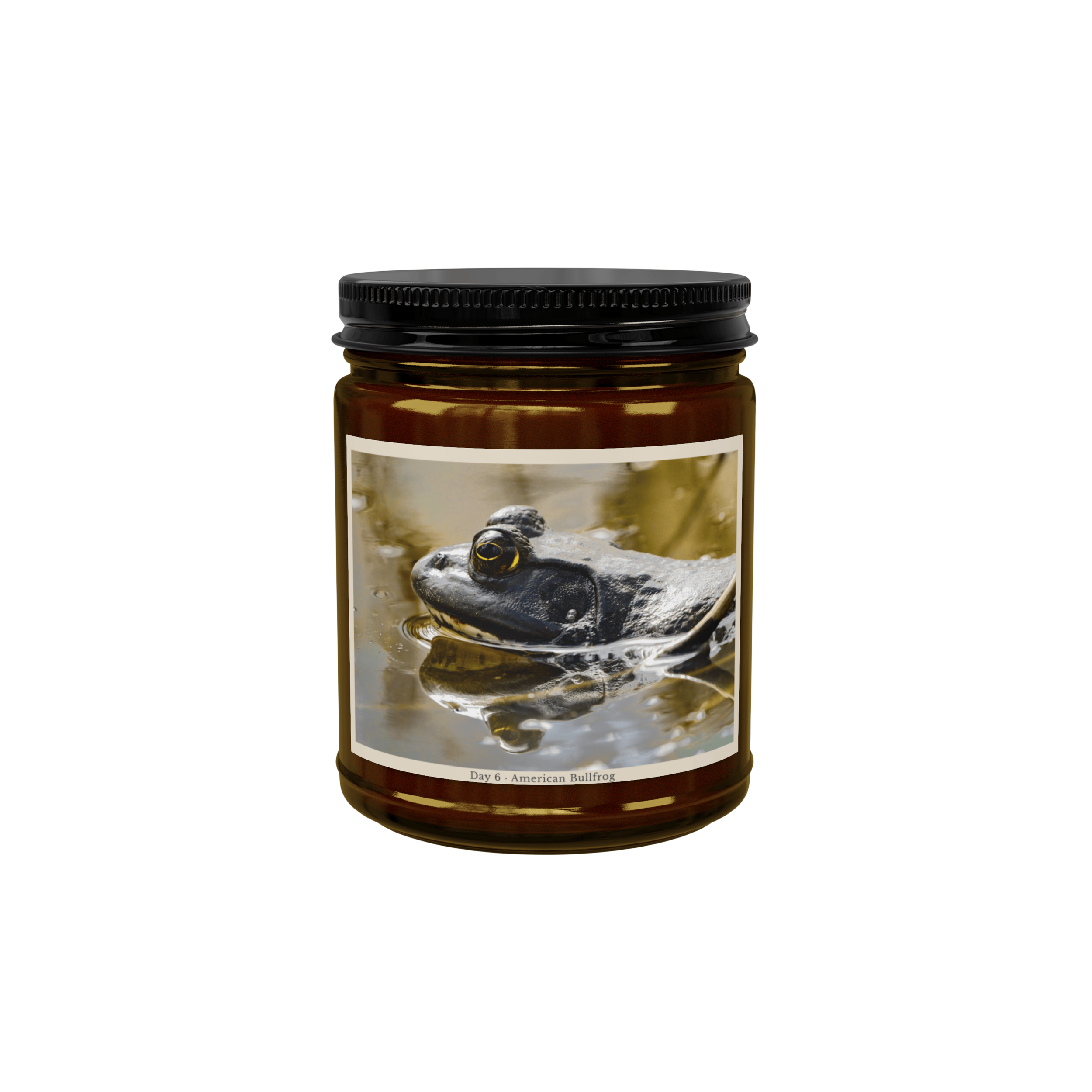 Mockup Transparent (6).png