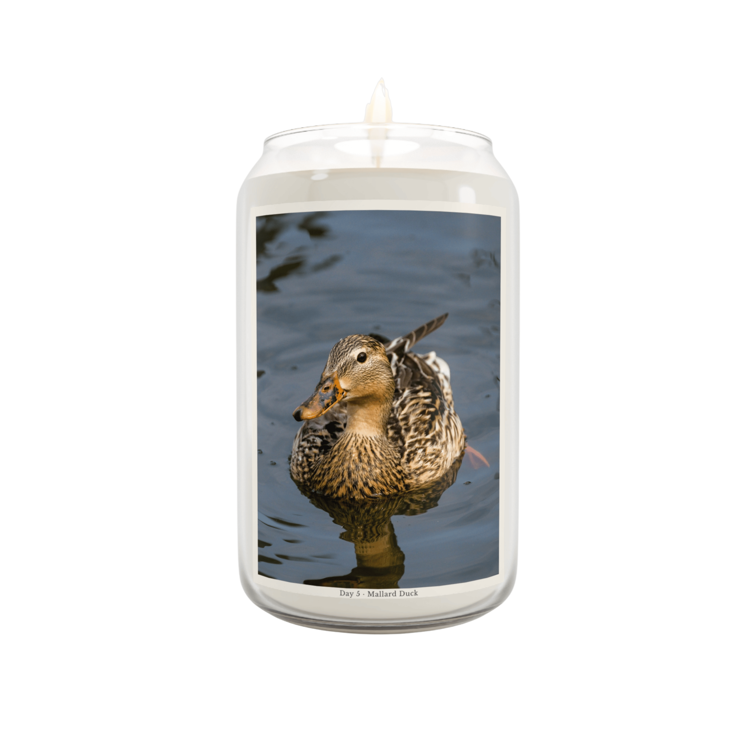 Mockup Transparent (5).png