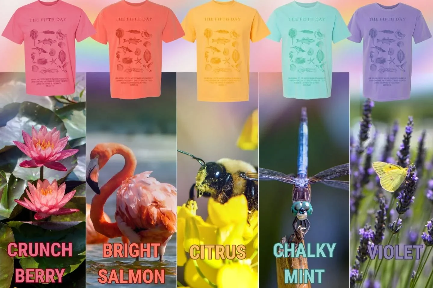 ✨🌊 The Fifth Day Reimagined 🐚✨

The Fifth Day T-shirt is back&mdash;this time in a rainbow of bright, bold colors reflecting God&rsquo;s promise 🌈 and the vibrant beauty found in nature. From the deep pink of summer blooms to the bright turquoise 
