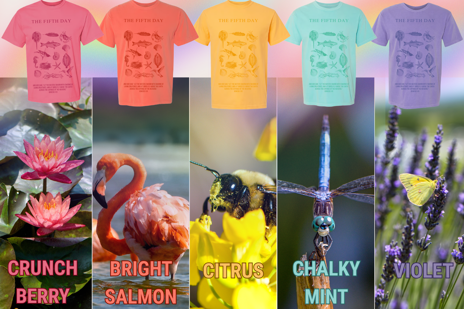 T-Shirt Colors OG (5).png