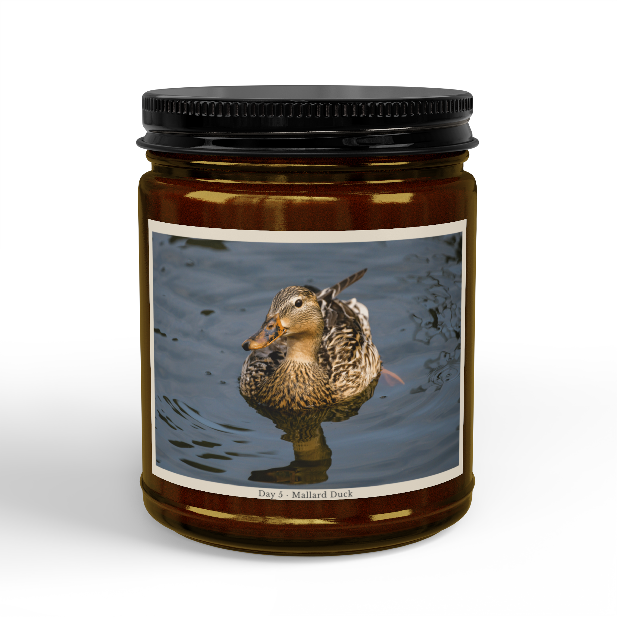 Front, 9oz, Amber Jar + Black Lid, Sea Breeze (2).png