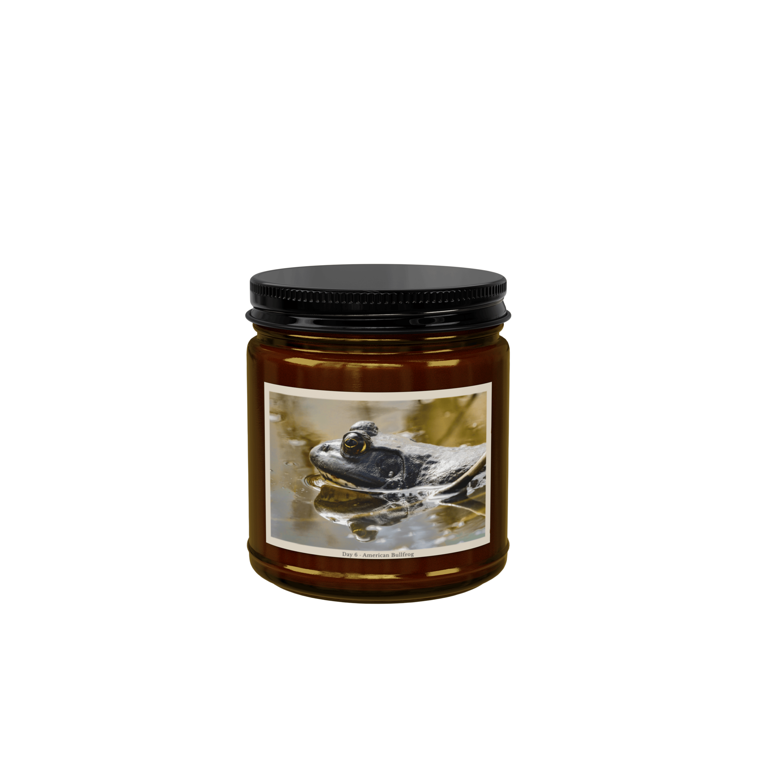 Mockup Transparent (7).png