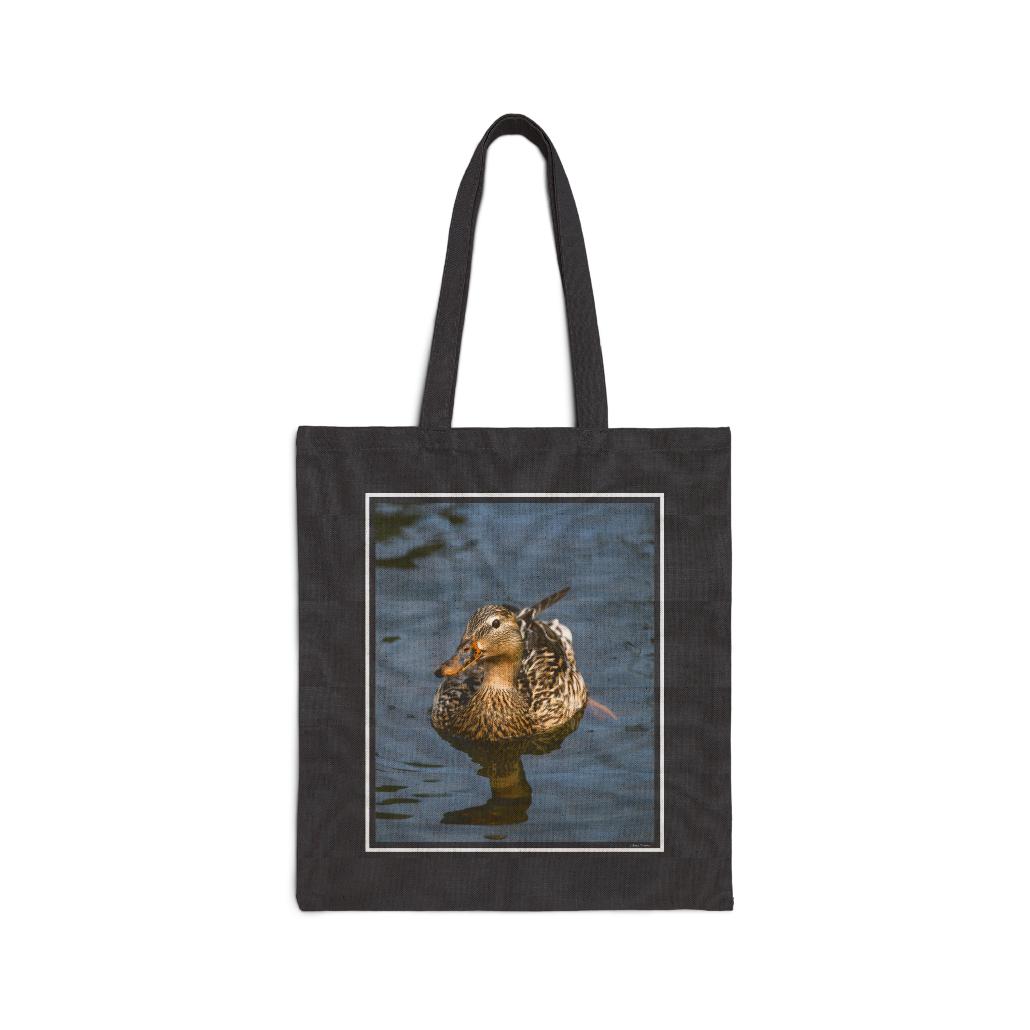 Front, Black (12).png