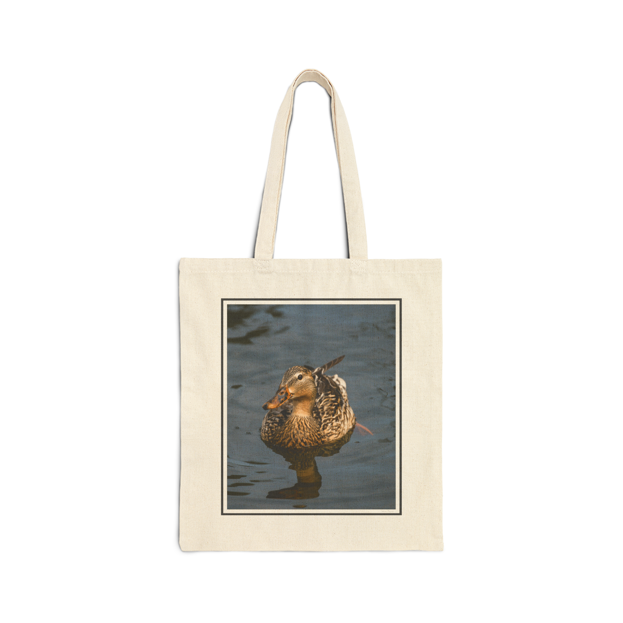 Front, Natural (11).png