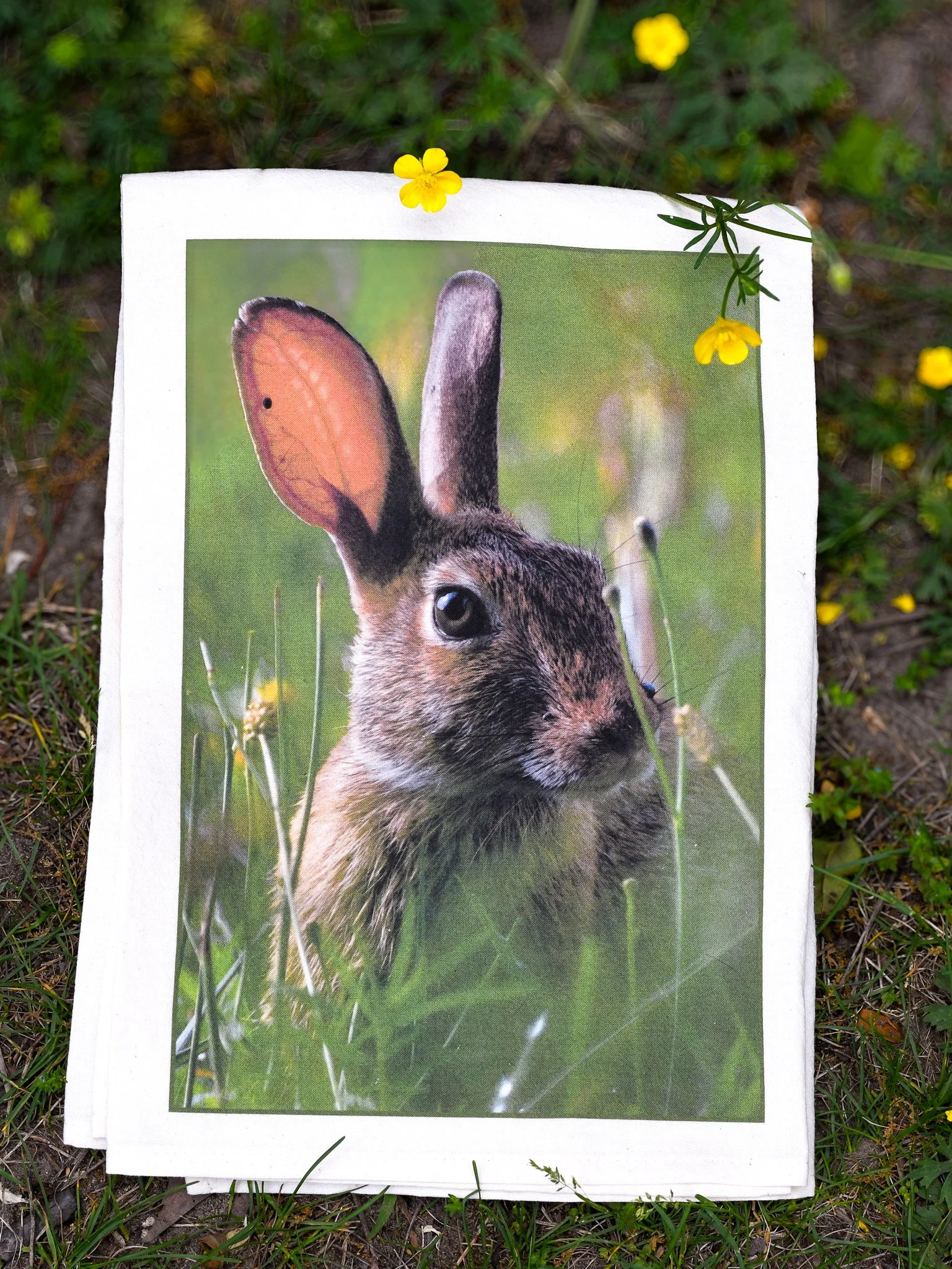 Eastern Cottontail — Tea Towel