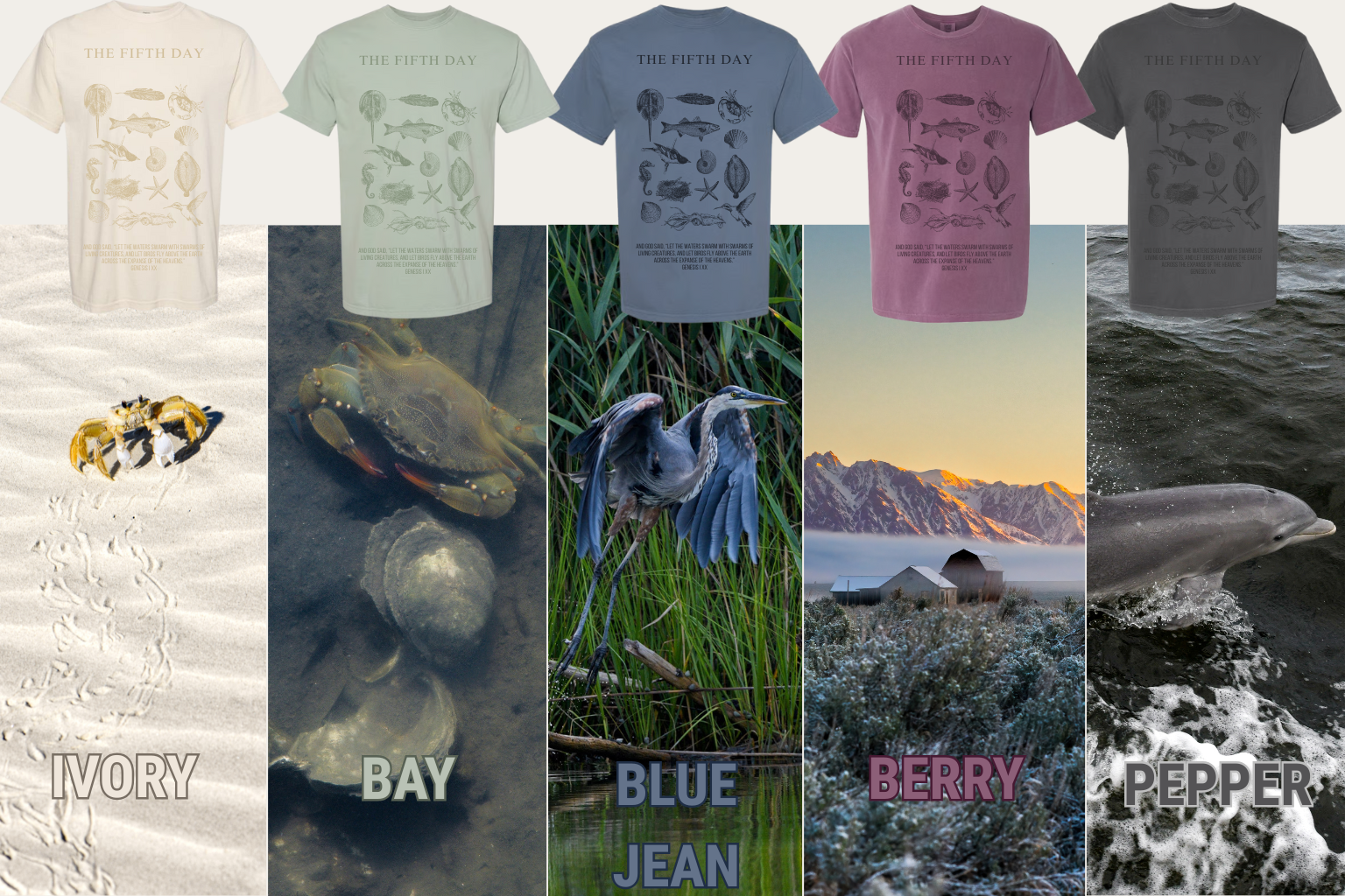 T-Shirt Colors OG (7).png
