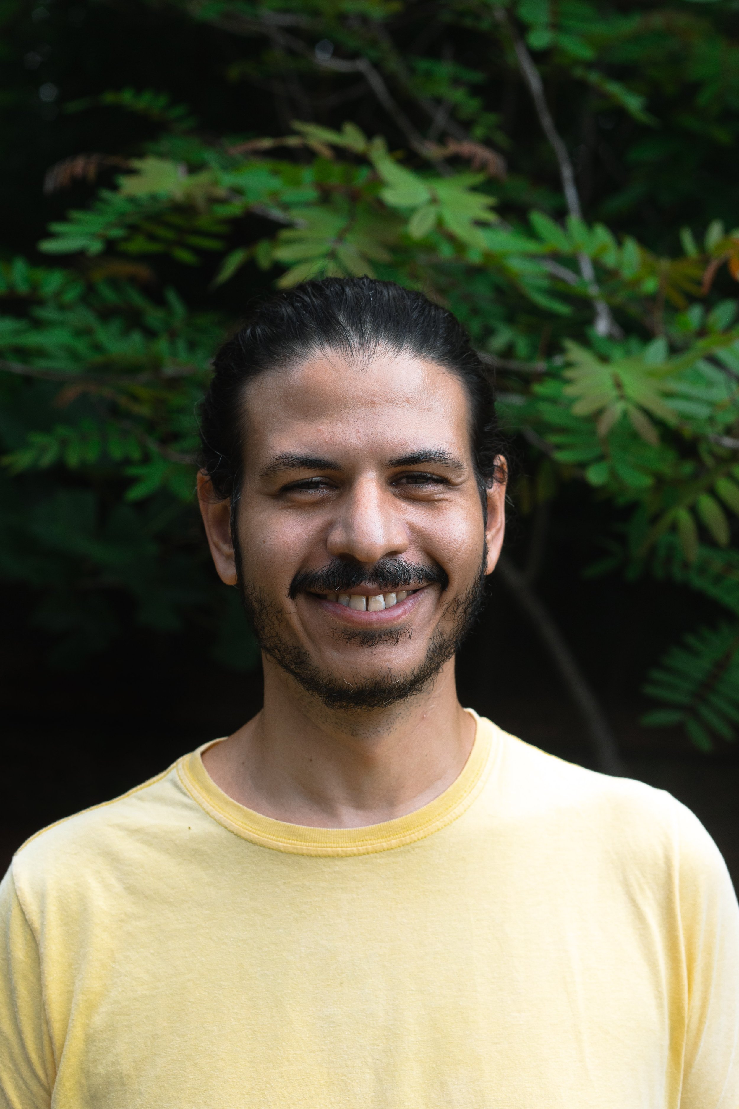Renato de Deus, Developer, Campinas - Saõ Paulo, Brazil
