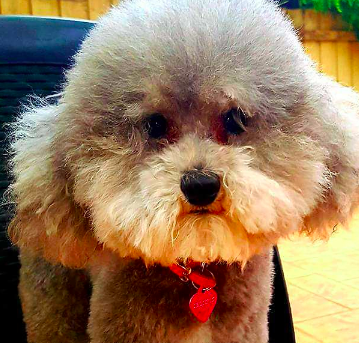 Screen Shot 2024-04-04 at 10.08.34 pm.png