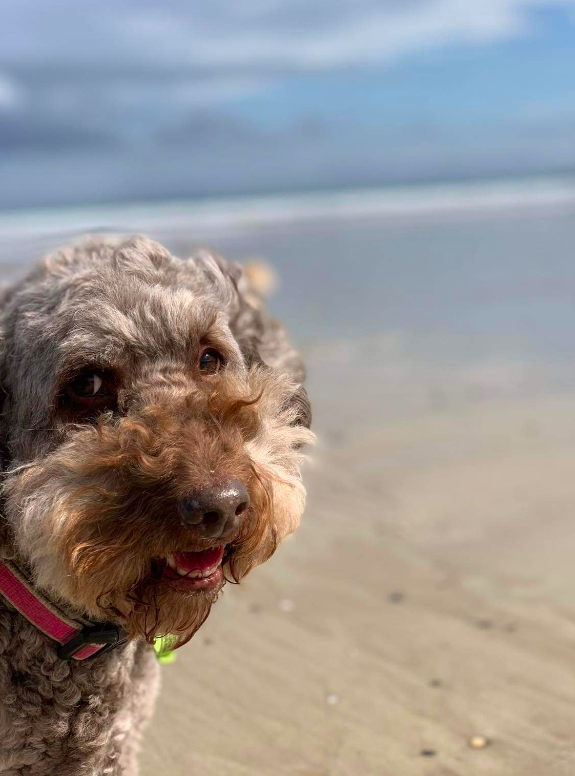 Screen Shot 2023-10-27 at 6.06.55 pm.png