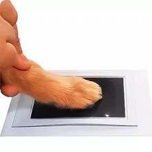 Screenshot+2024-07-03+at+16-55-19+Cat+Dog+Paw+Print+Ink+Kit+Pad+Safe+Non-toxic+Easy+DIY+Clean+Touch+Inkless+Pet+Souvenir+-+AliExpress.jpg
