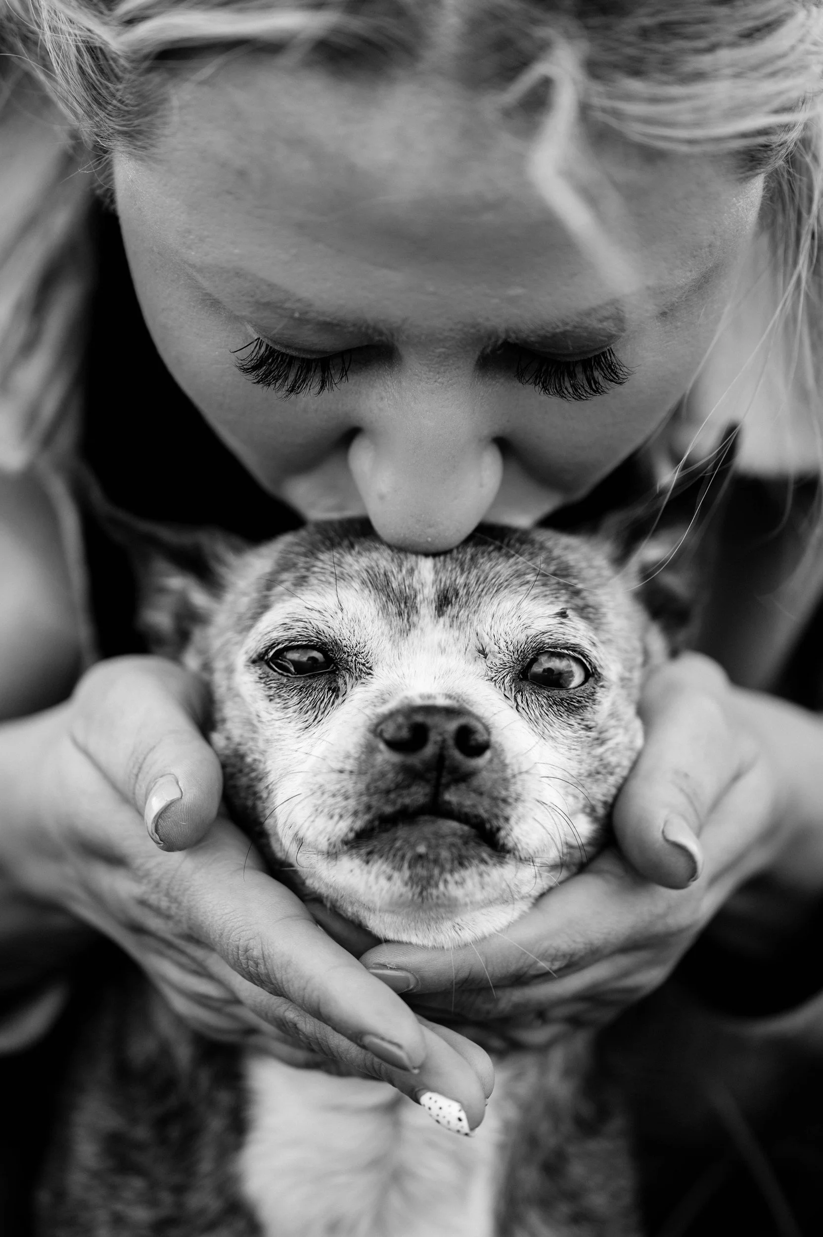 Understanding Doggy Dementia 