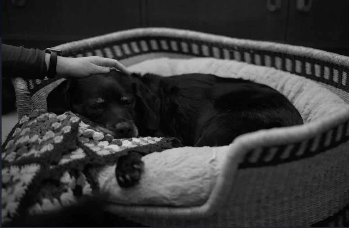 What a Gentle Home Goodbye Looks Like