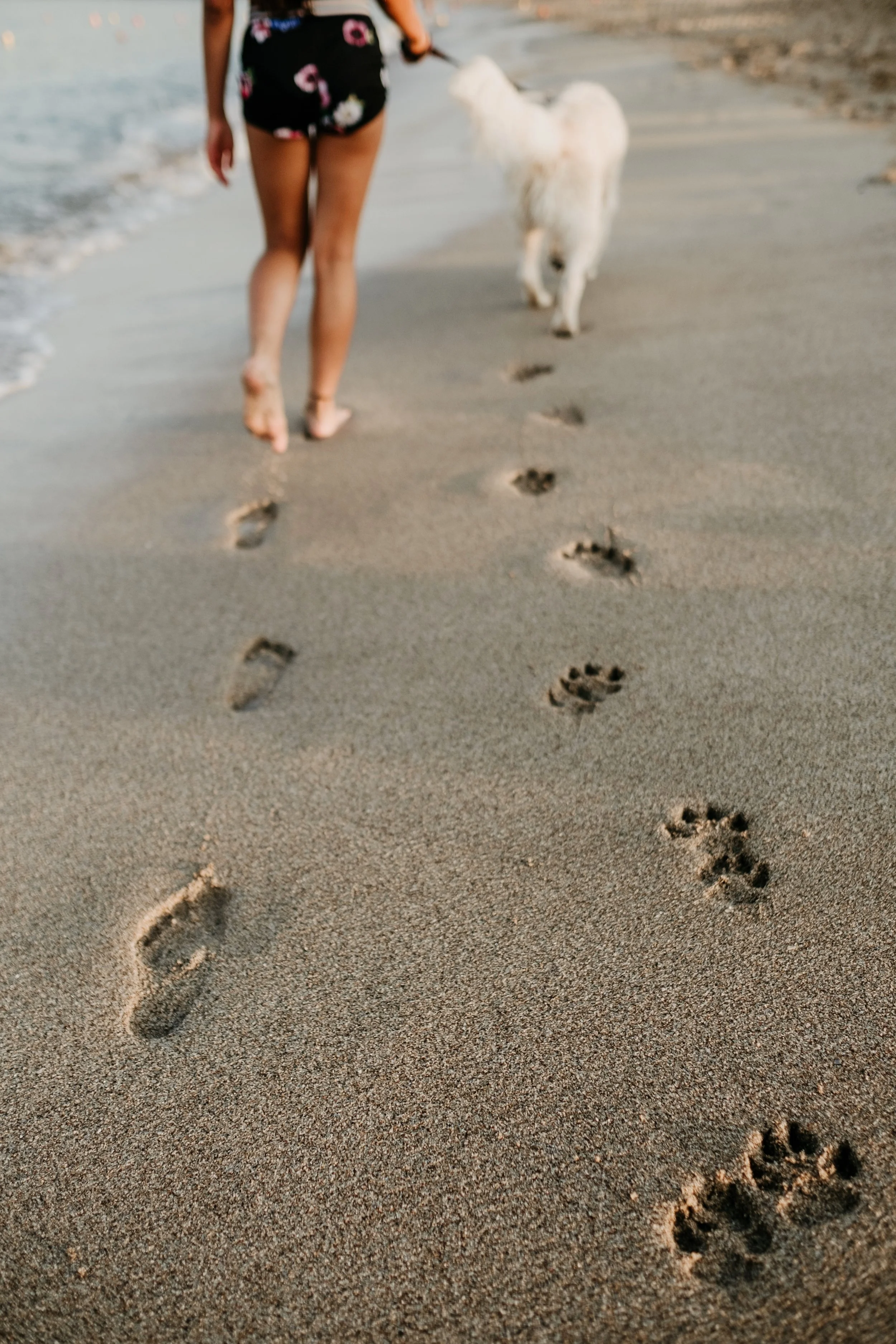 Learning to Cope With Grief After Losing a Pet