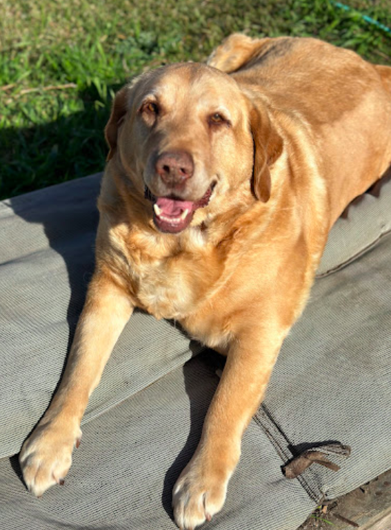 Screen Shot 2023-10-27 at 5.50.42 pm.png