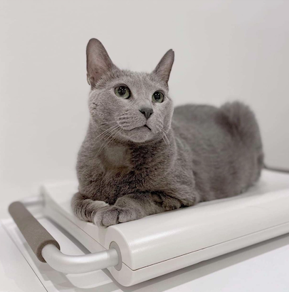 Screen Shot 2024-02-04 at 11.11.04 pm.png