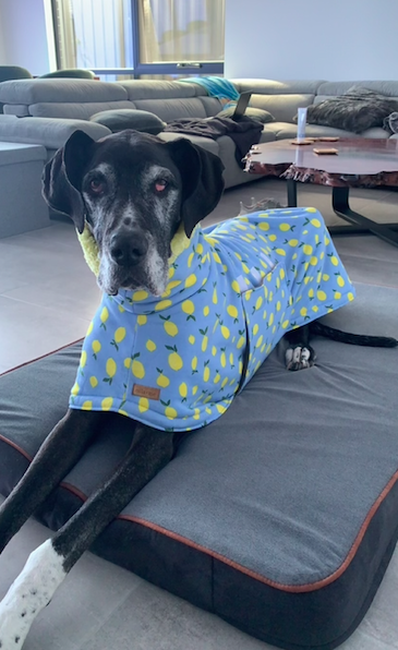 Screen Shot 2024-02-04 at 11.18.40 pm.png