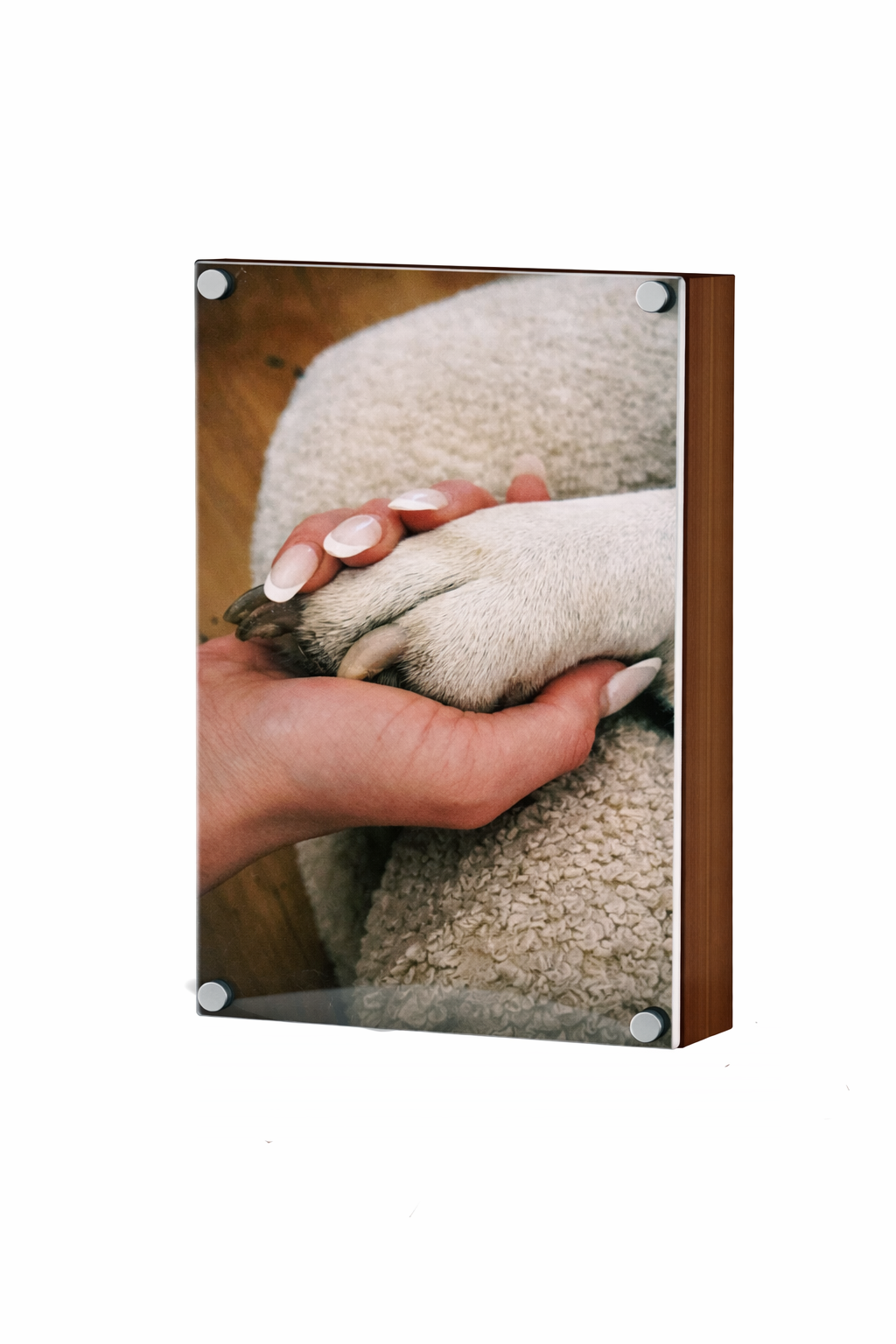 ChatGPT Image Mar 5, 2026, 11_22_47 AM.png