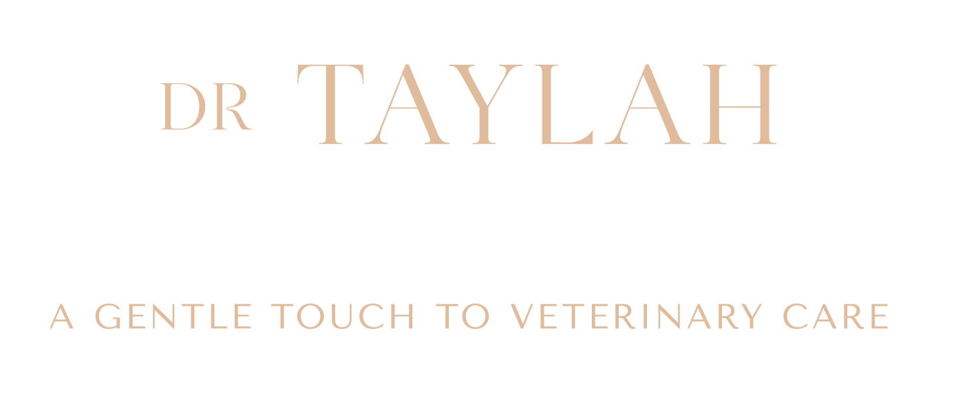 DR TAYLAH Gentle Home Goodbyes Pet Euthanasia At Home Melbourne