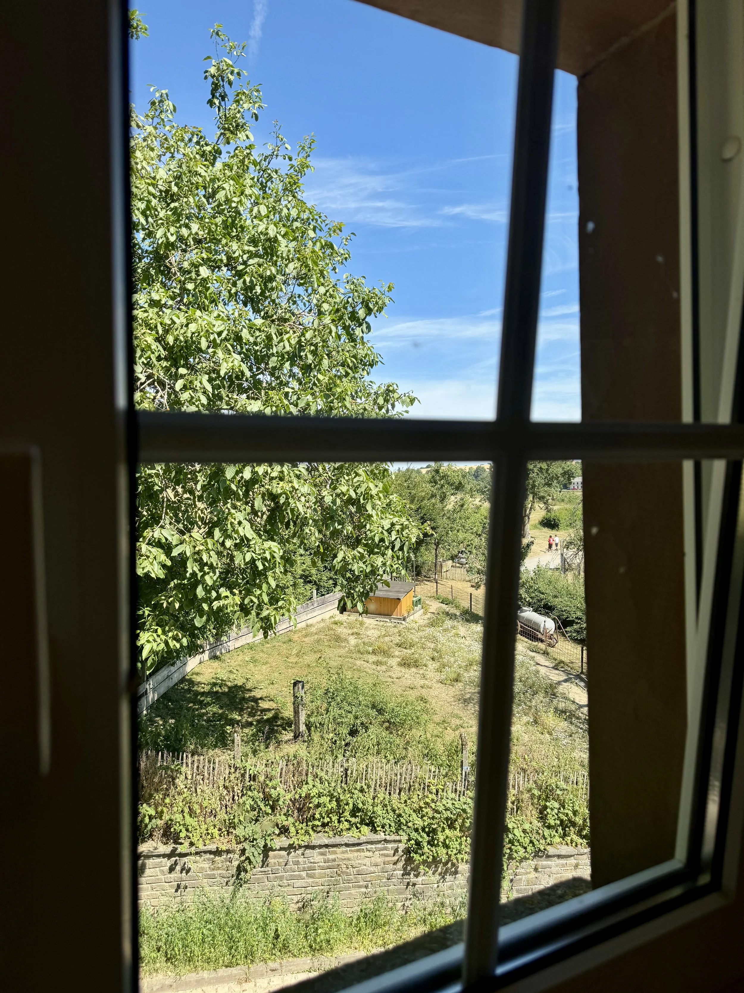 Window