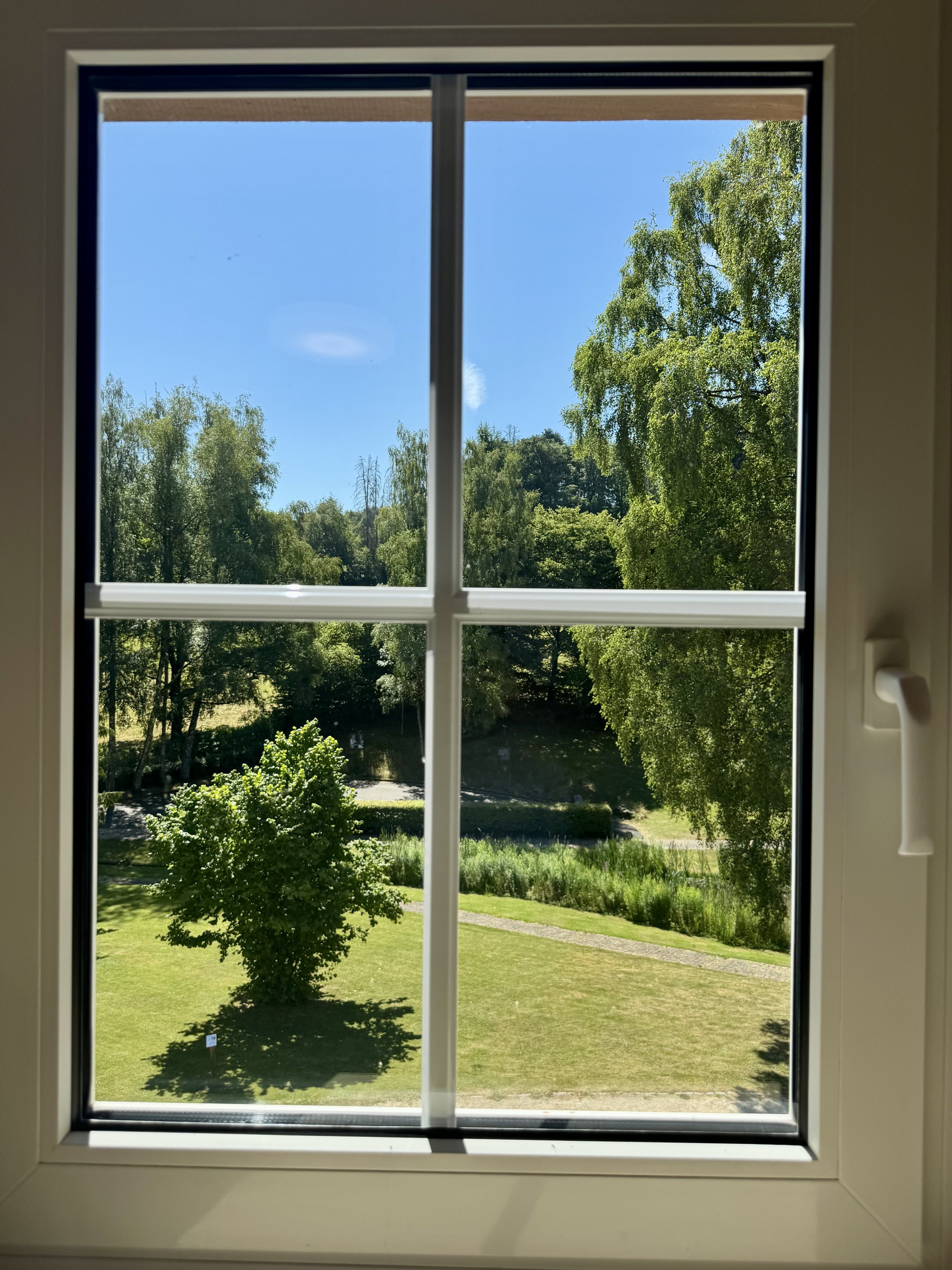 Window