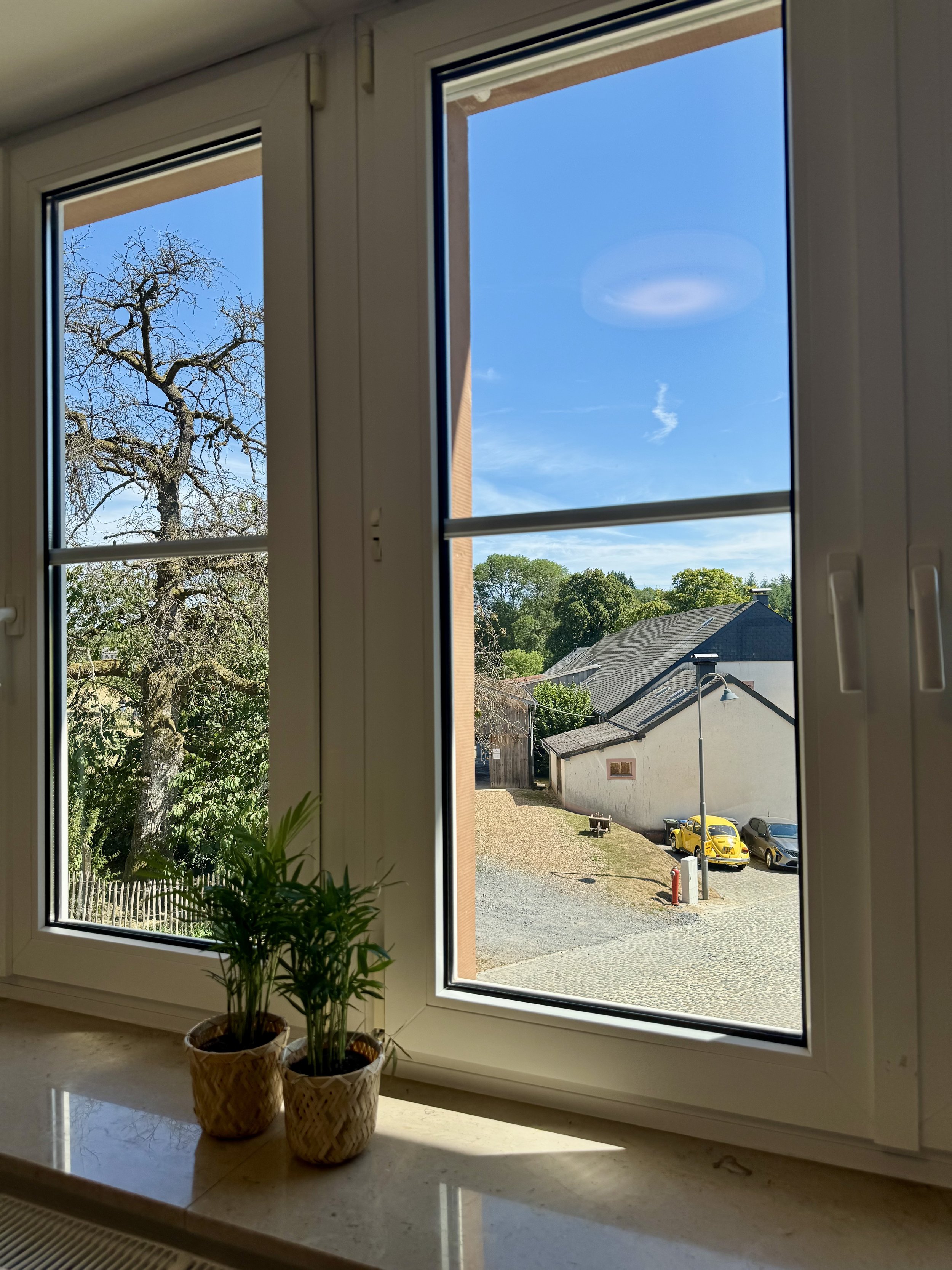 Window