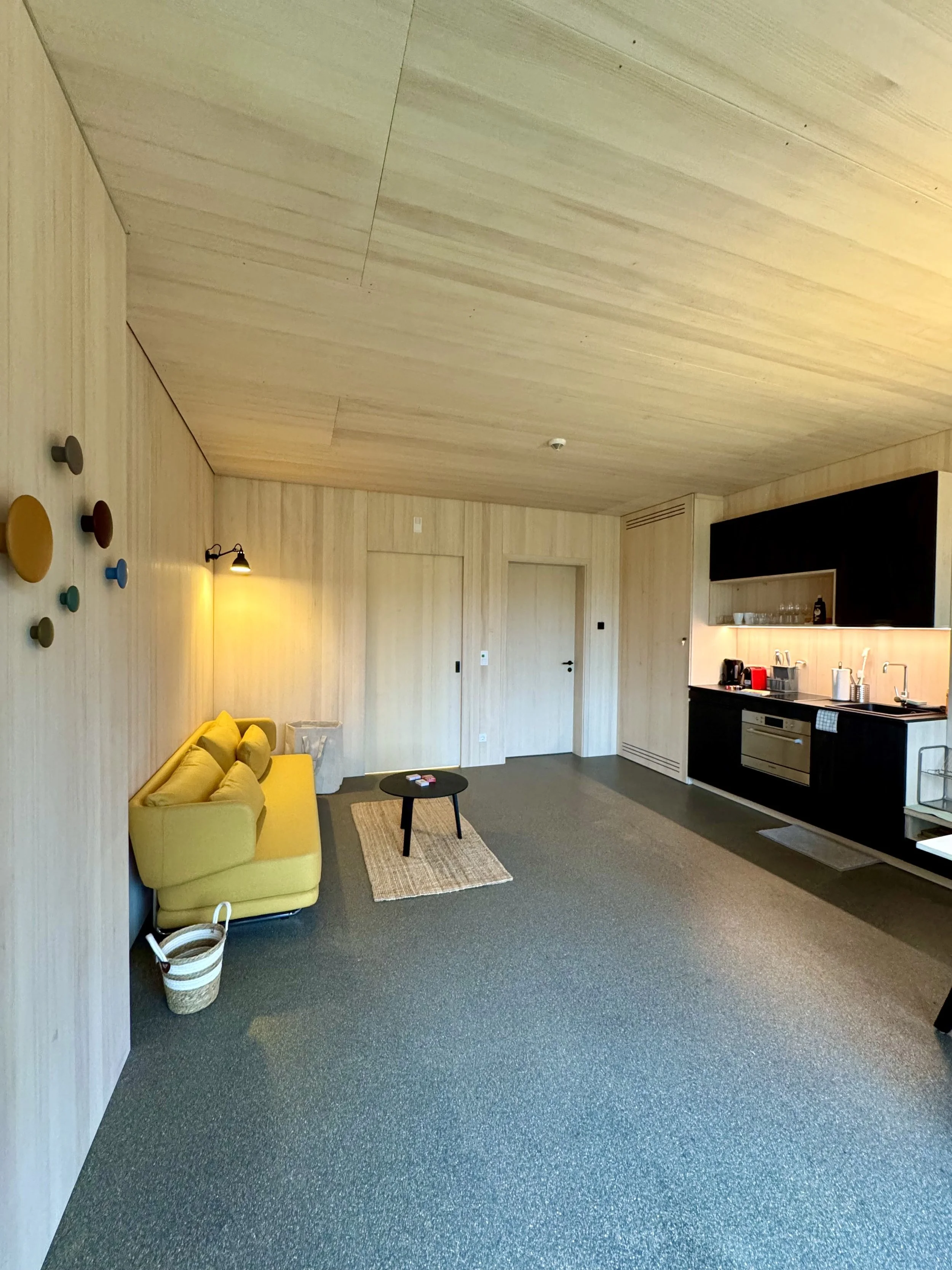 Living Room - Kitchen