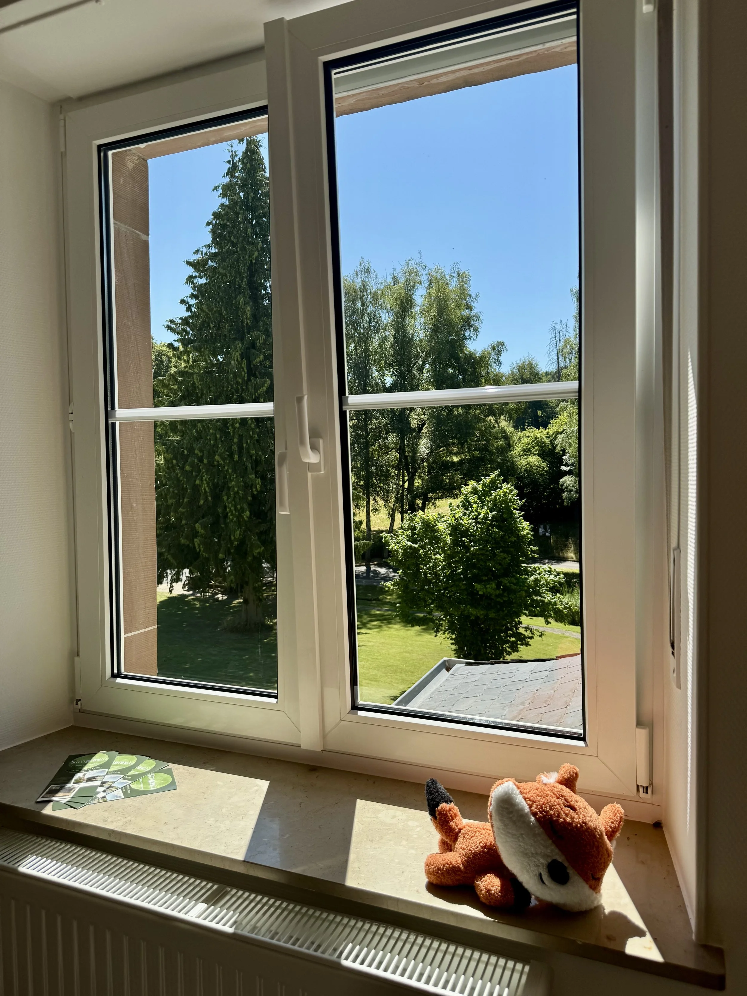 Window