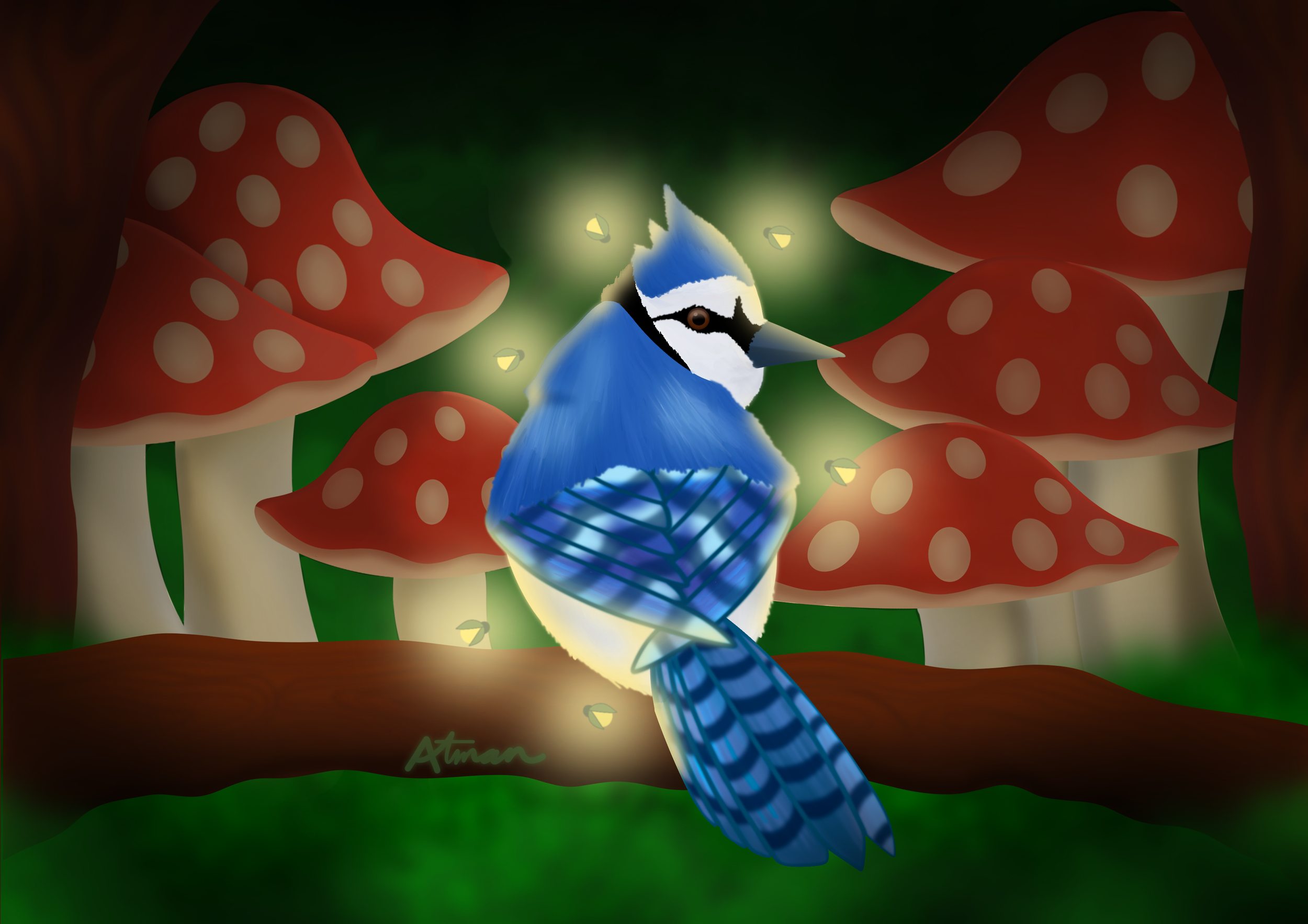Blue Jay Fairyland(Gift).png