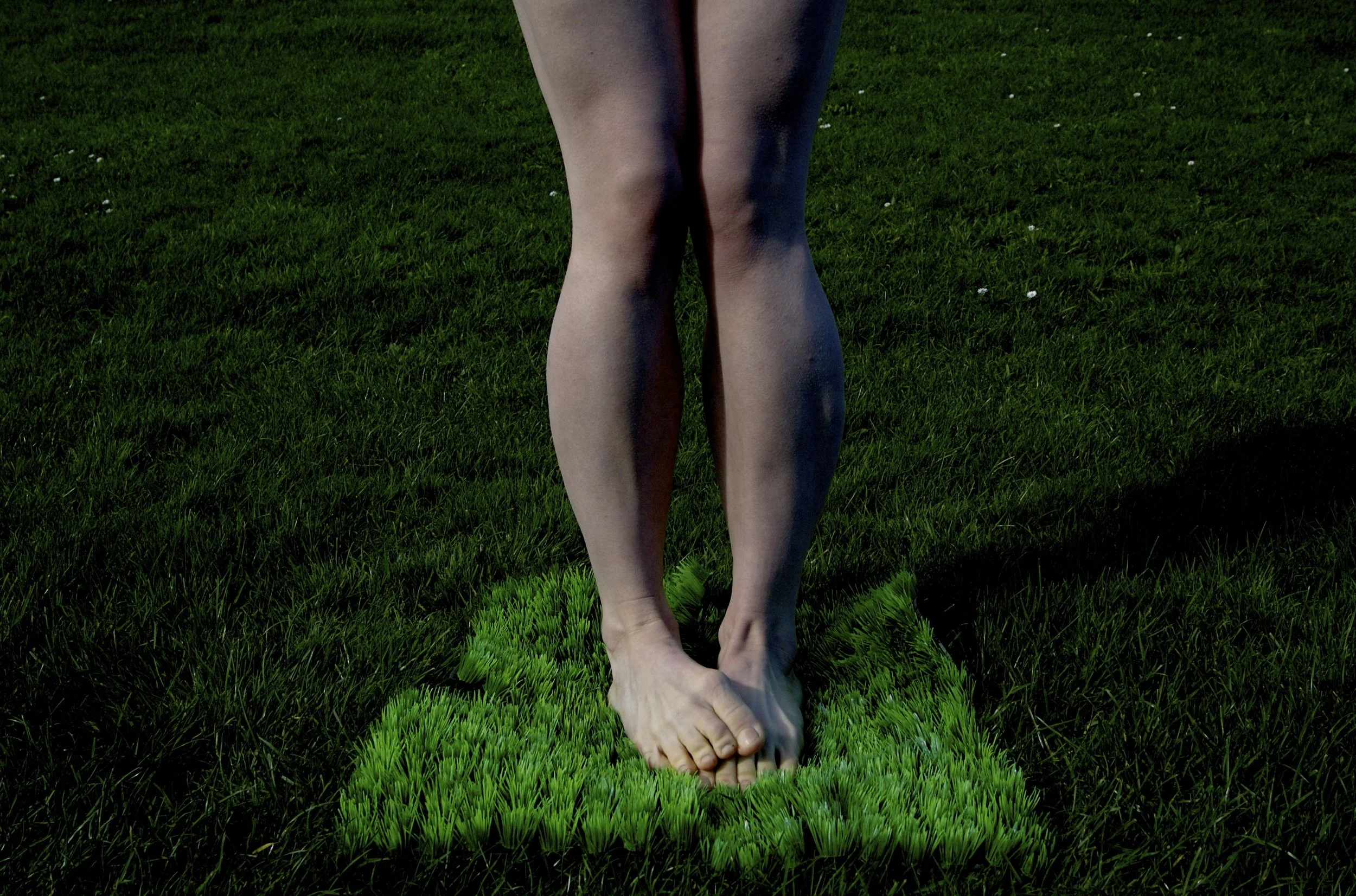 working drawings (photographic) for 'the unsettled settler'