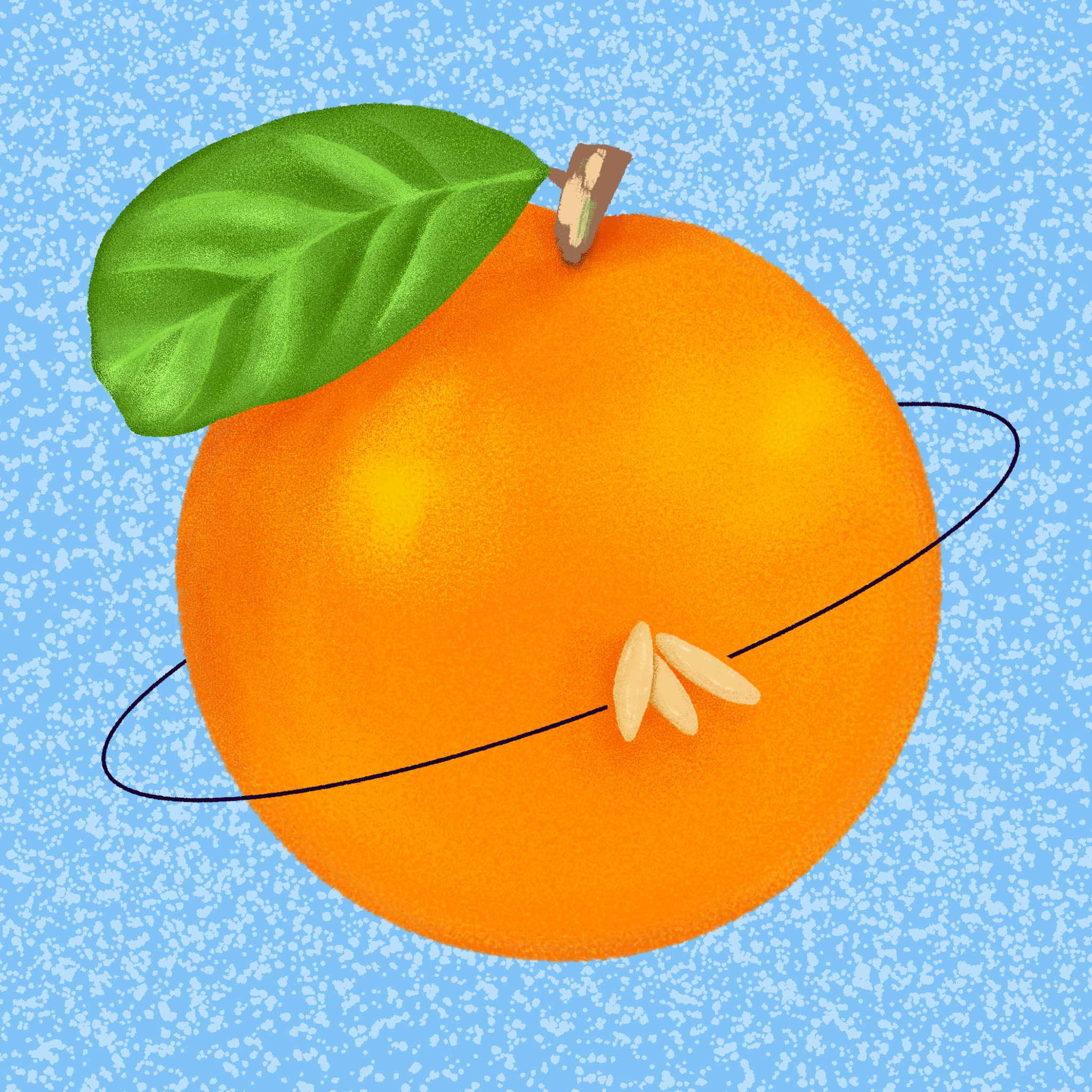 O.png